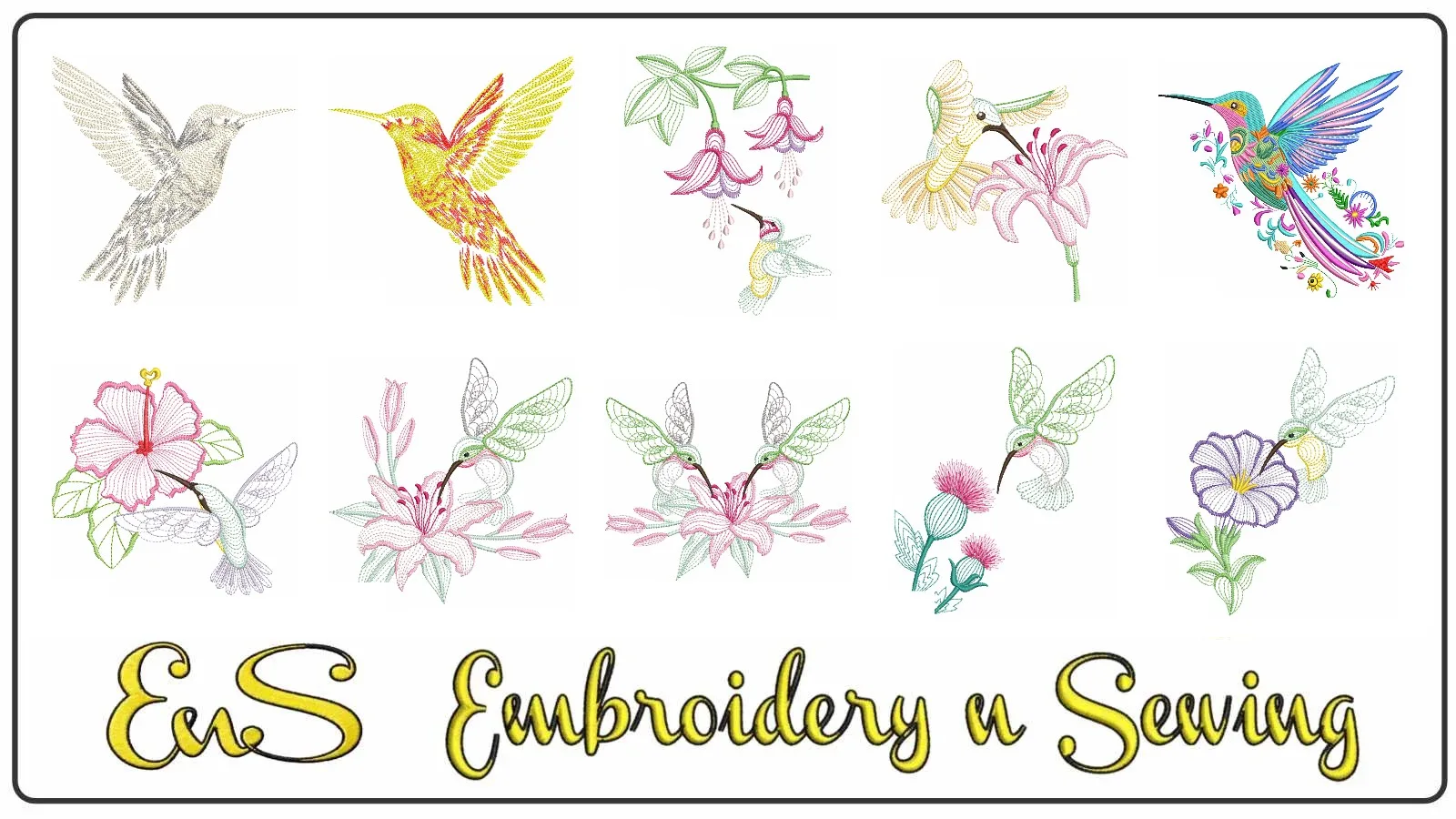 Hummingbird Line Art Bundle