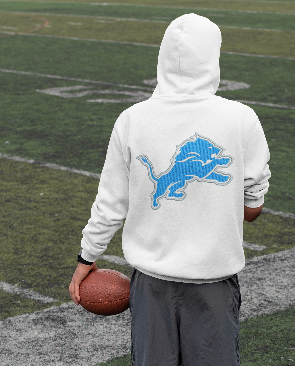 Detroit Lions NFL embroidery design -Ford Field Detroit Michigan Stadium
