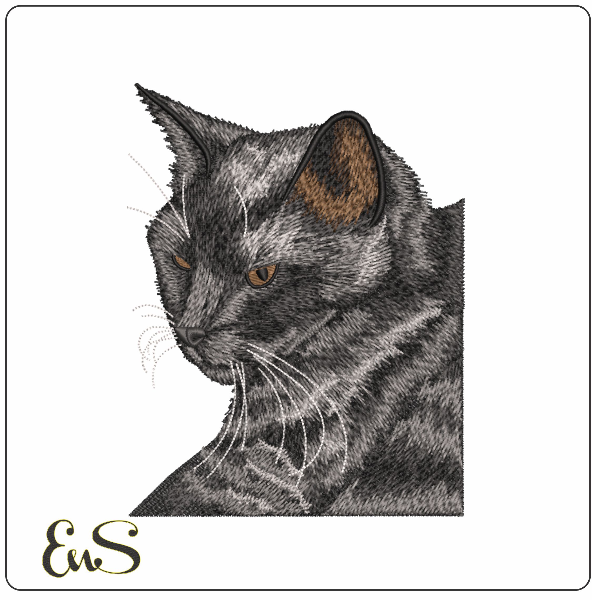 Black Cat