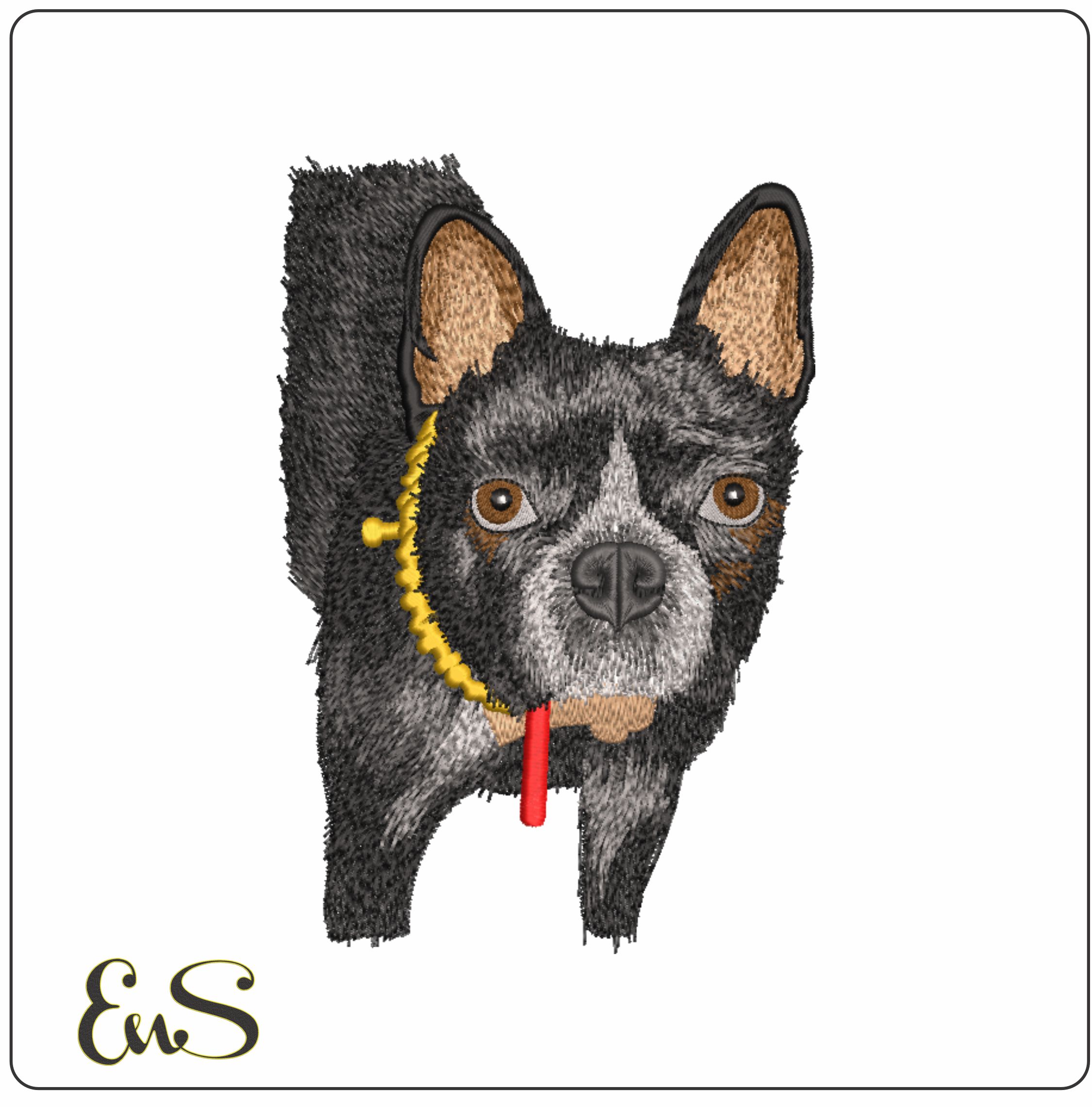 Black Dog Gold Chain