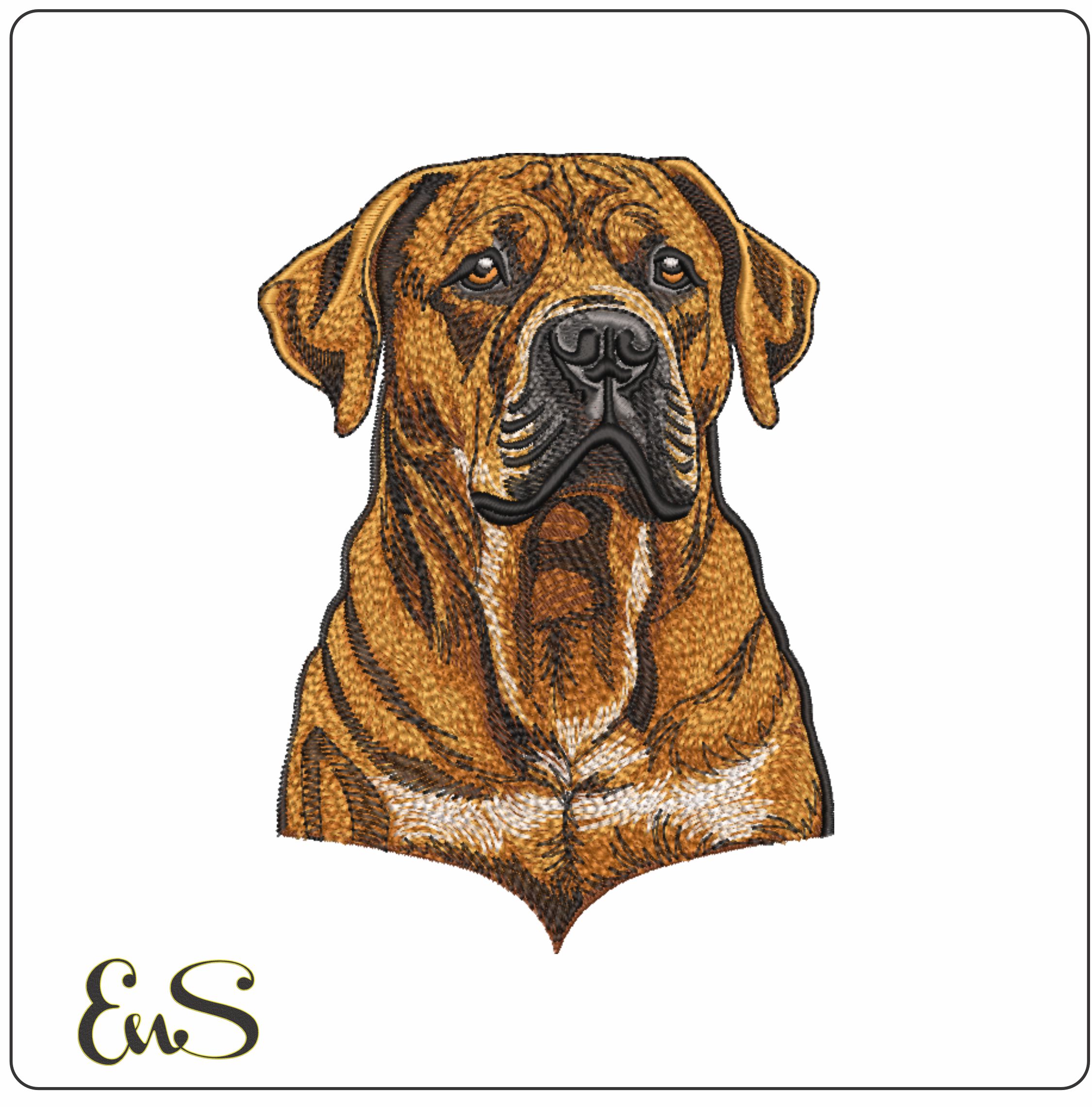 Bull Mastiff Dog Head
