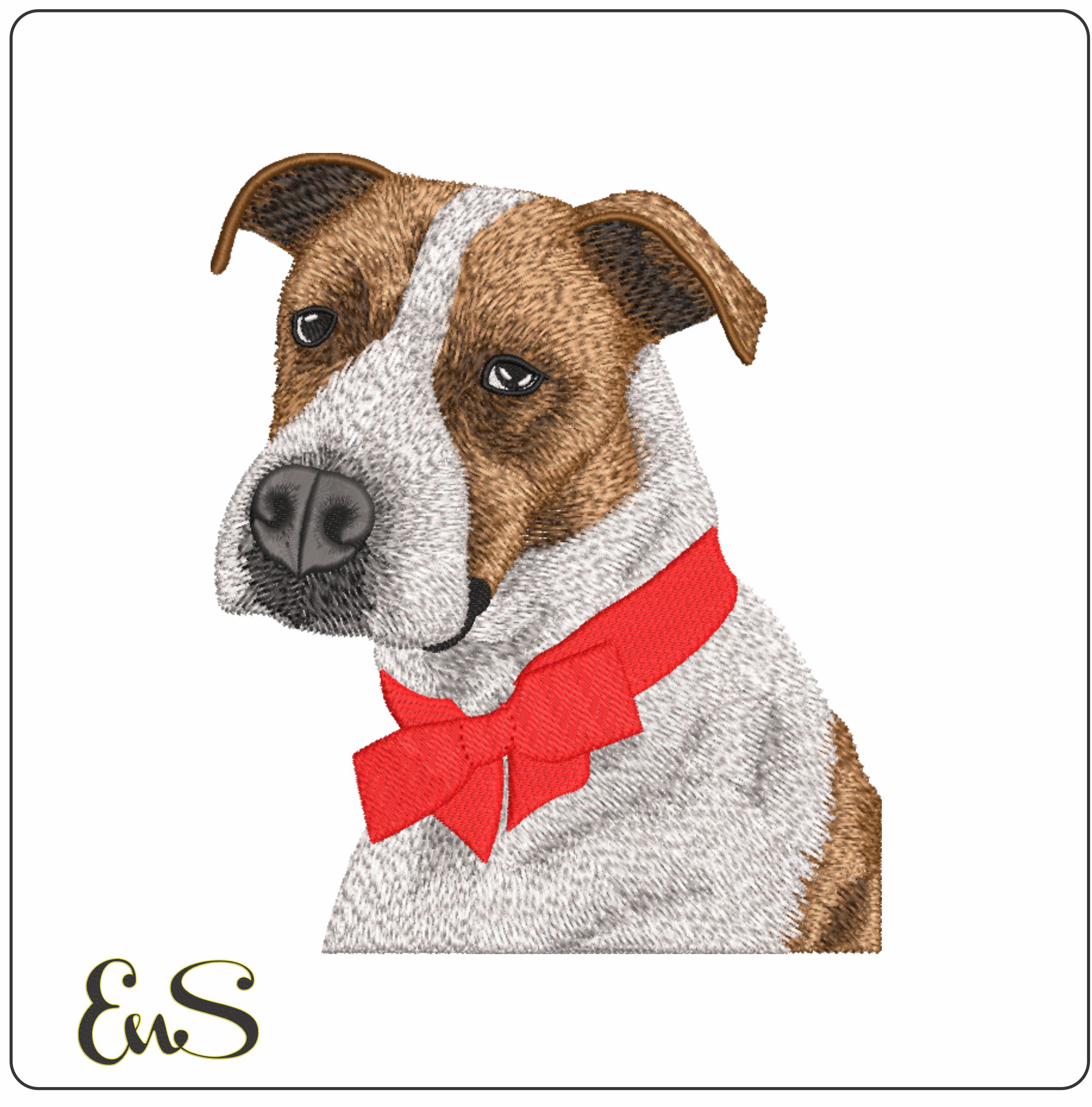 Dog With Bow