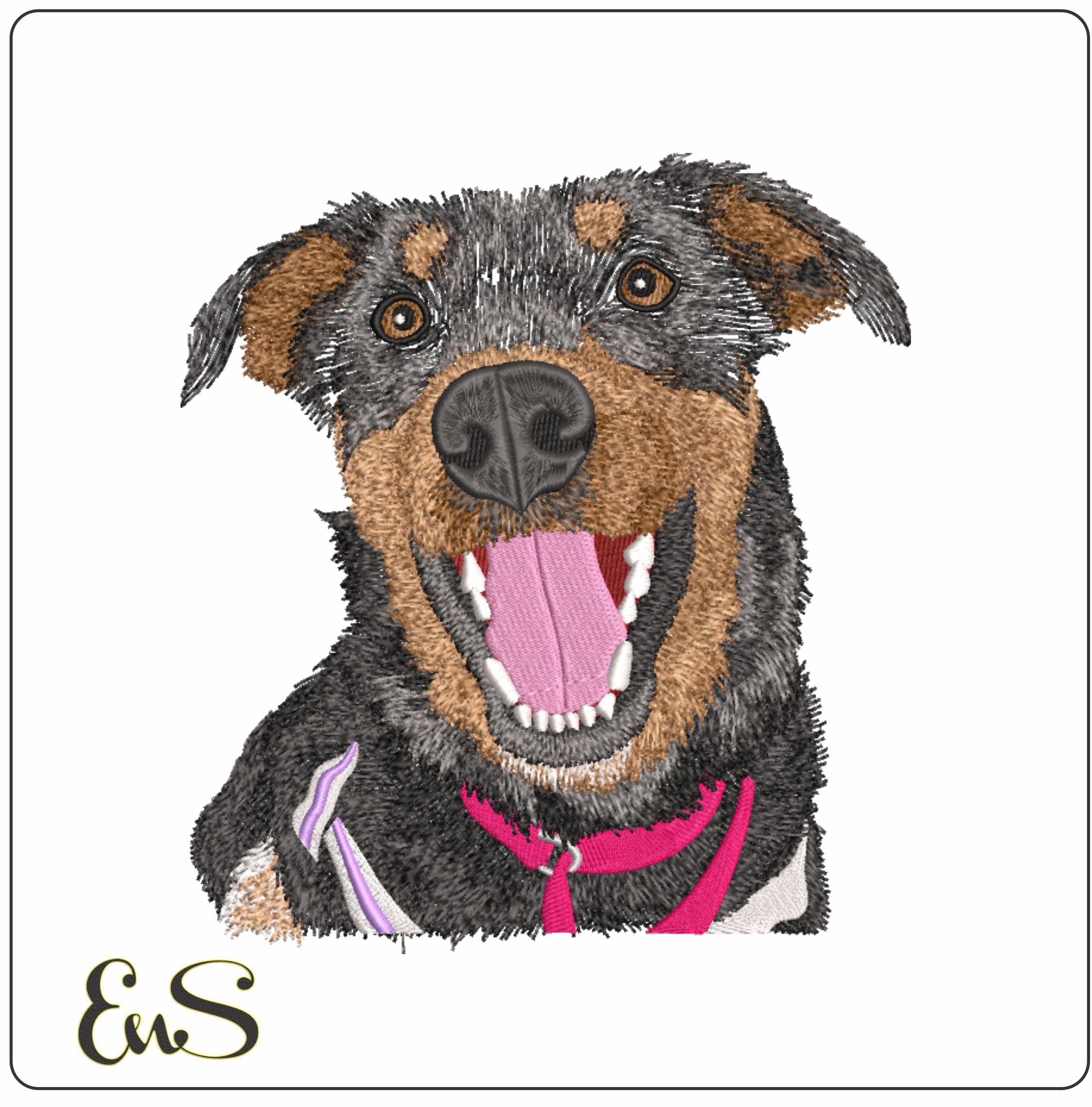 Dog With Tongue Out