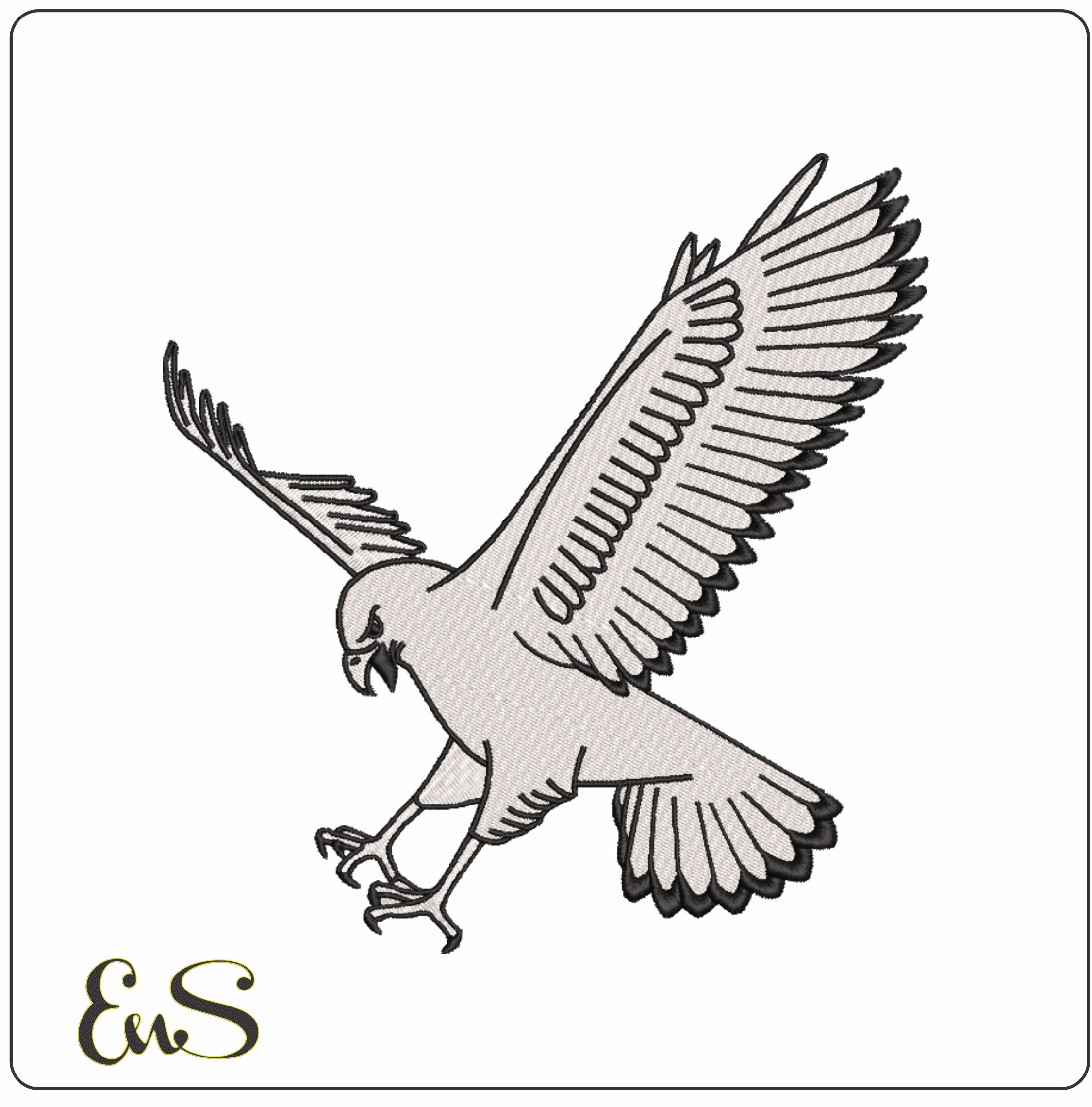 Sea Hawk Bird Swooping