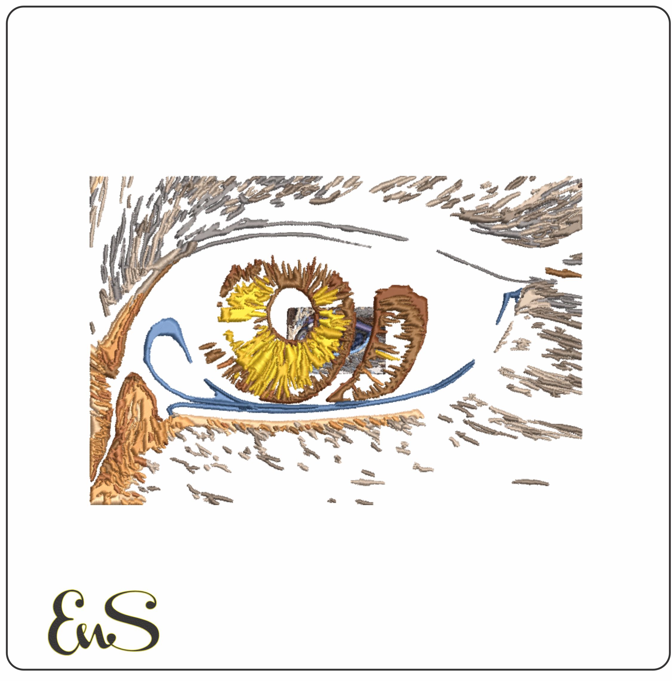 Animal Eye