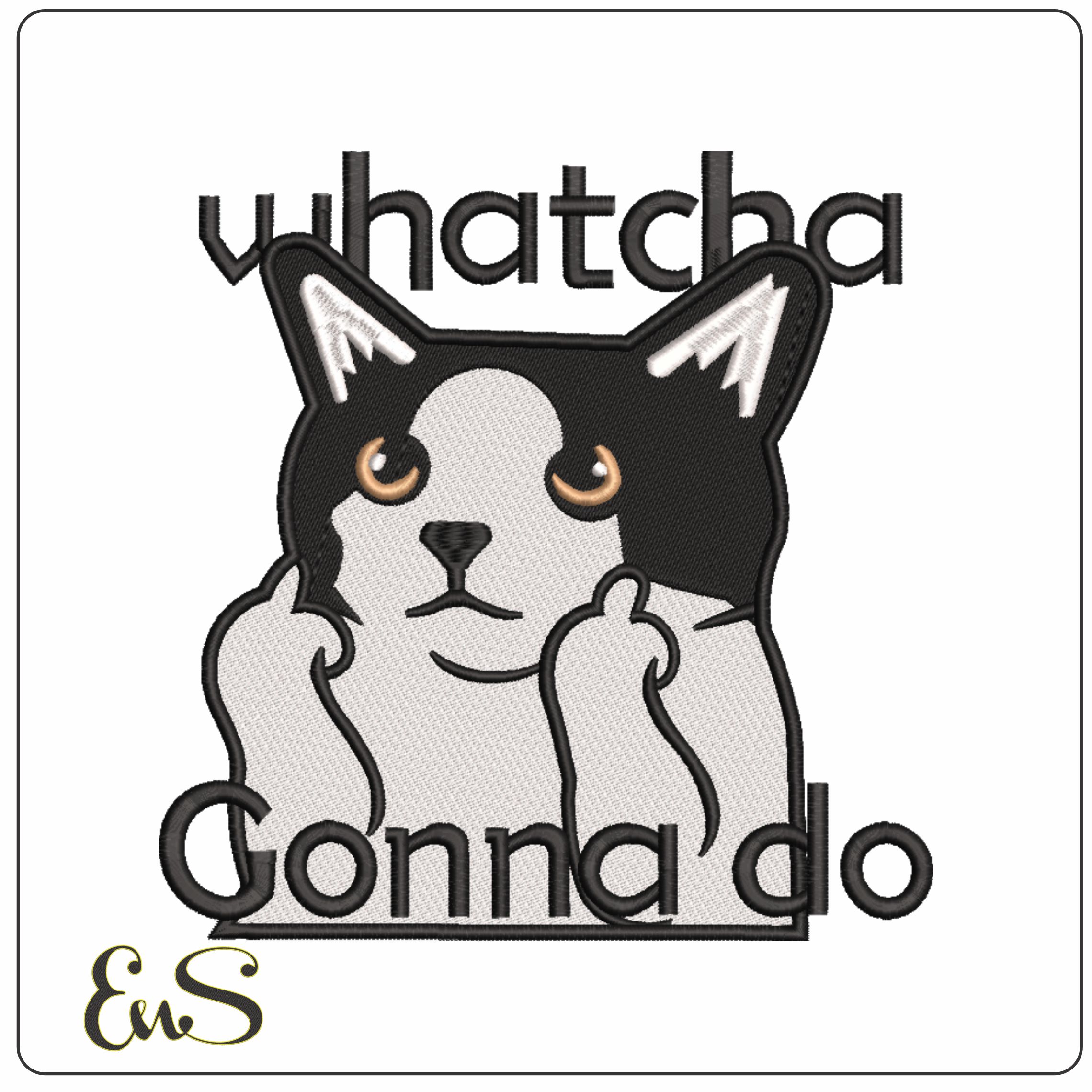 Cat With Attitude