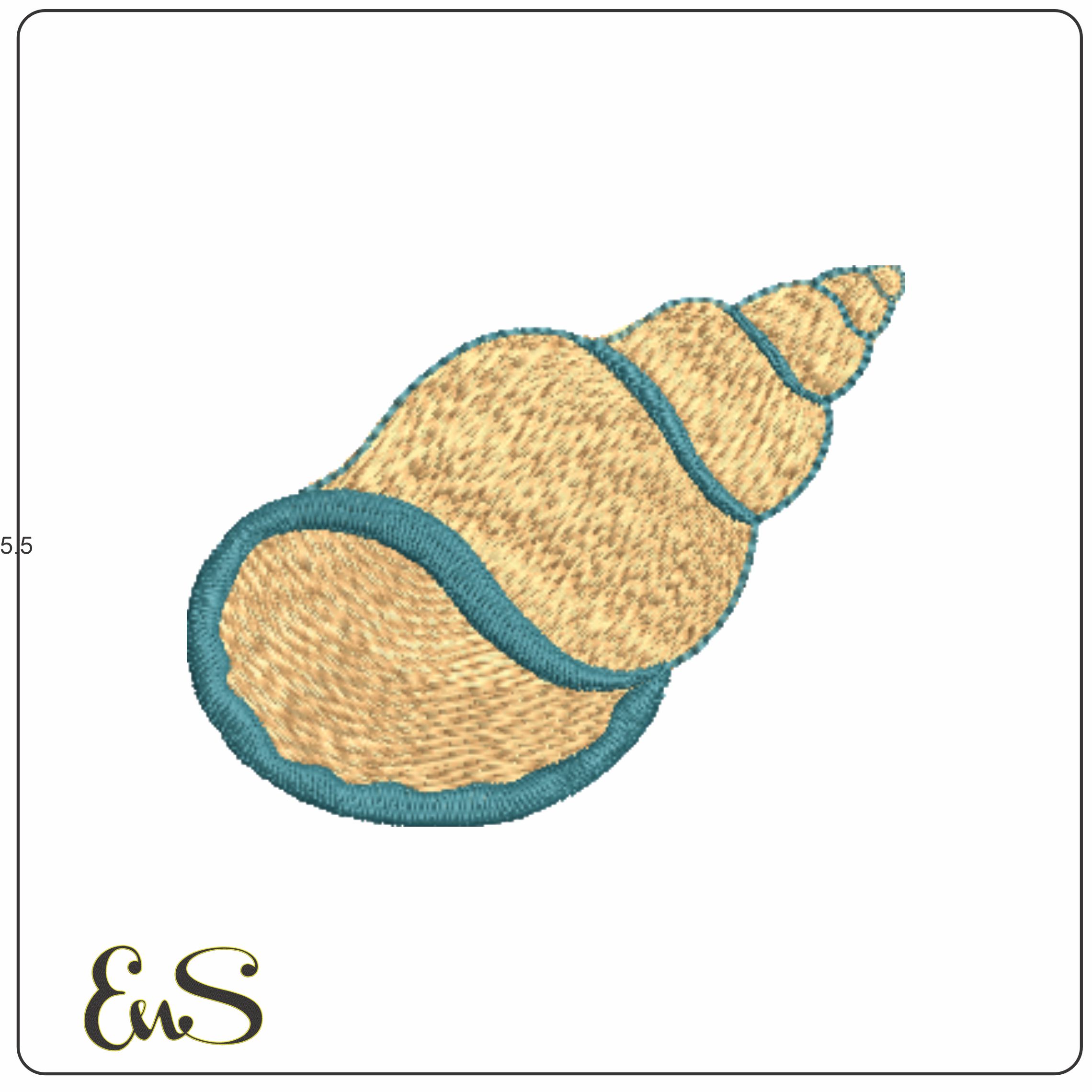 Conch Shell