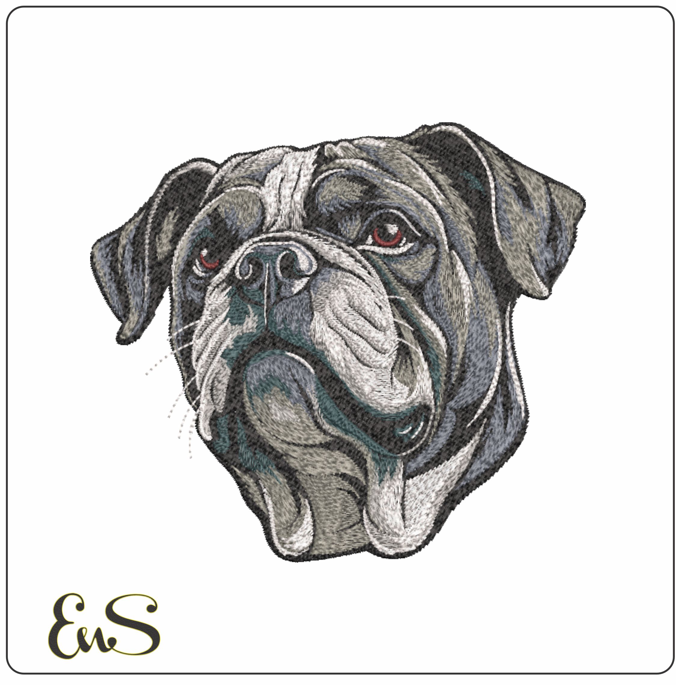 American Bulldog Face