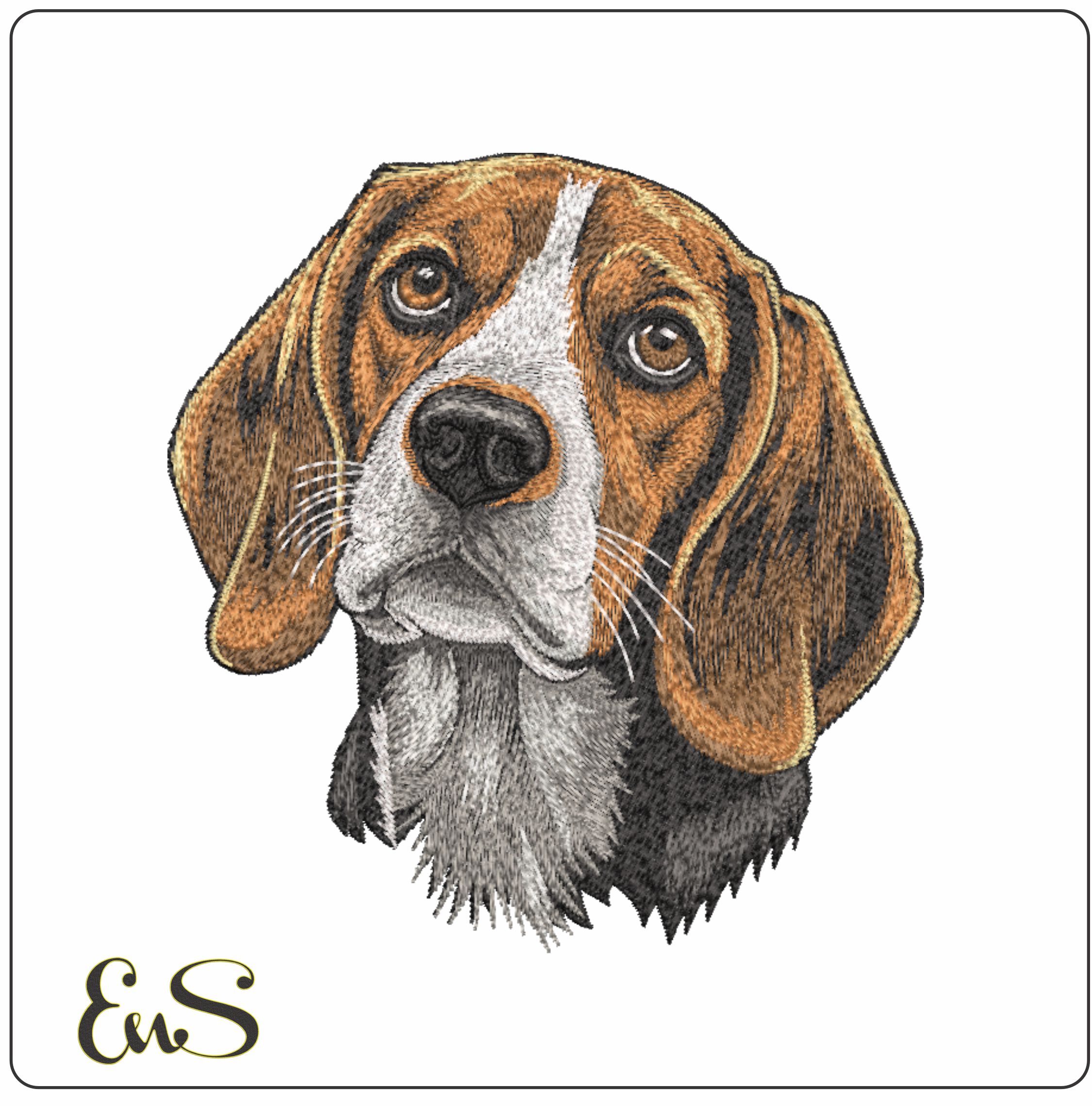 Beagle Dog Face
