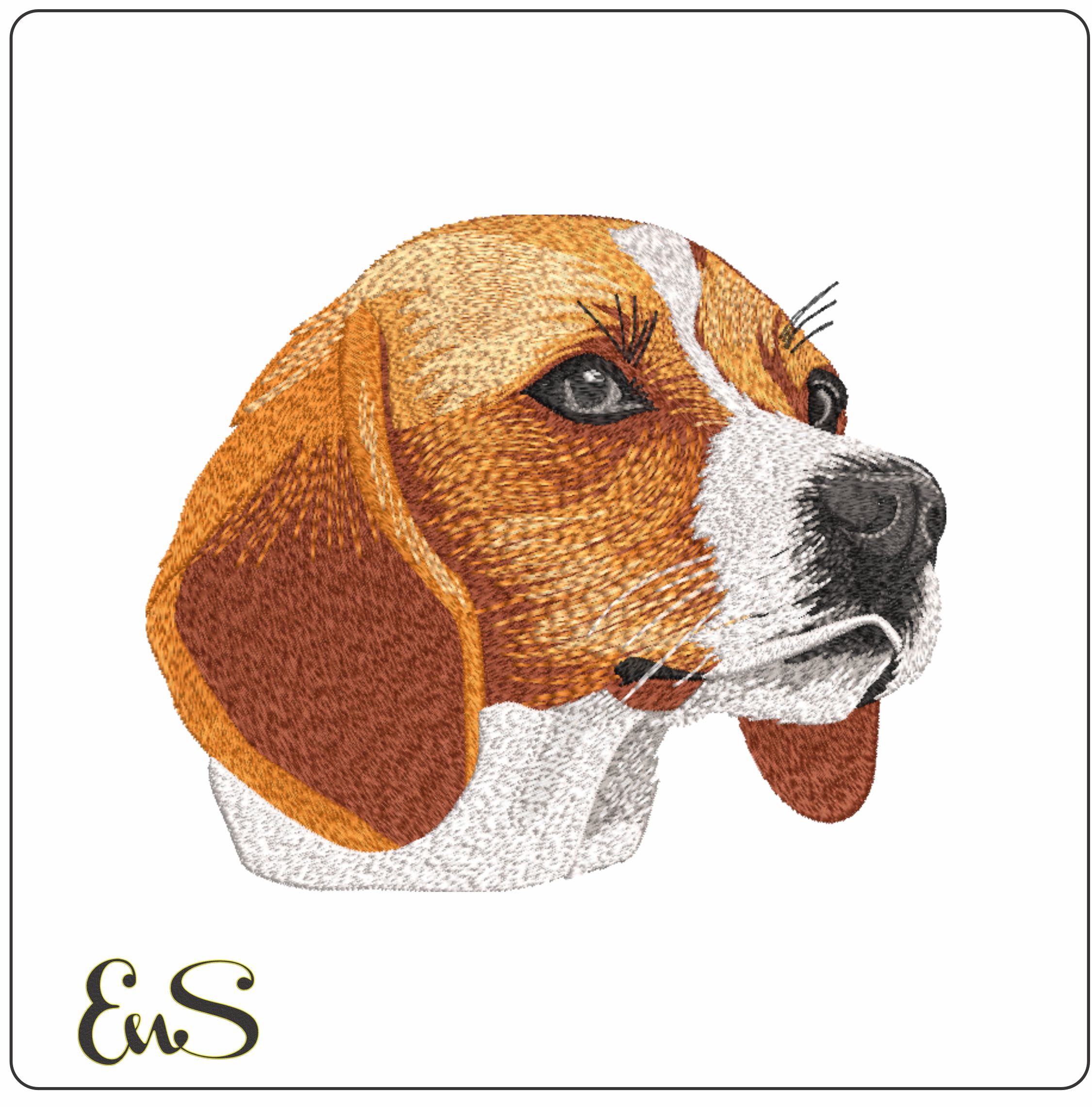 Beagle Face