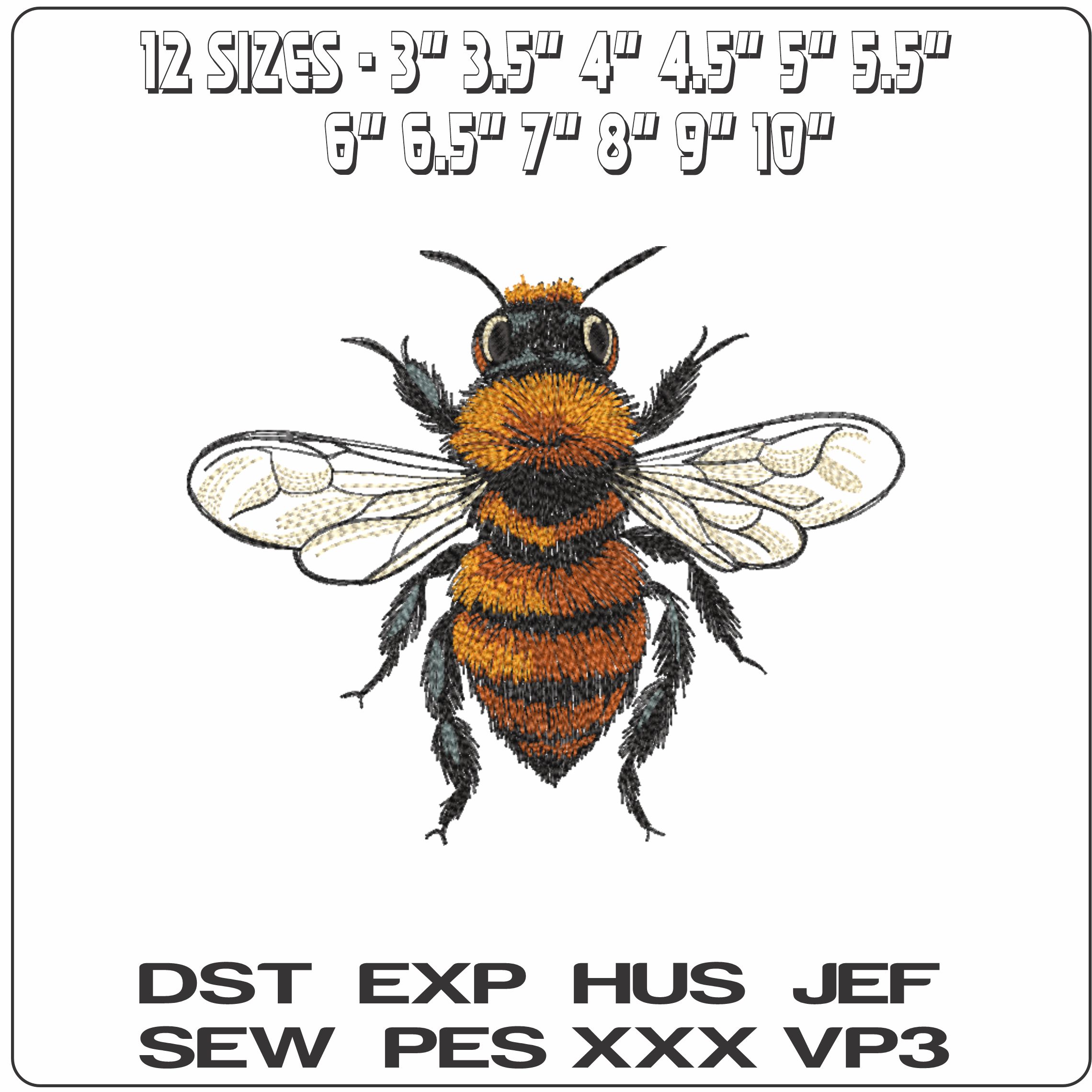 Bee Insect