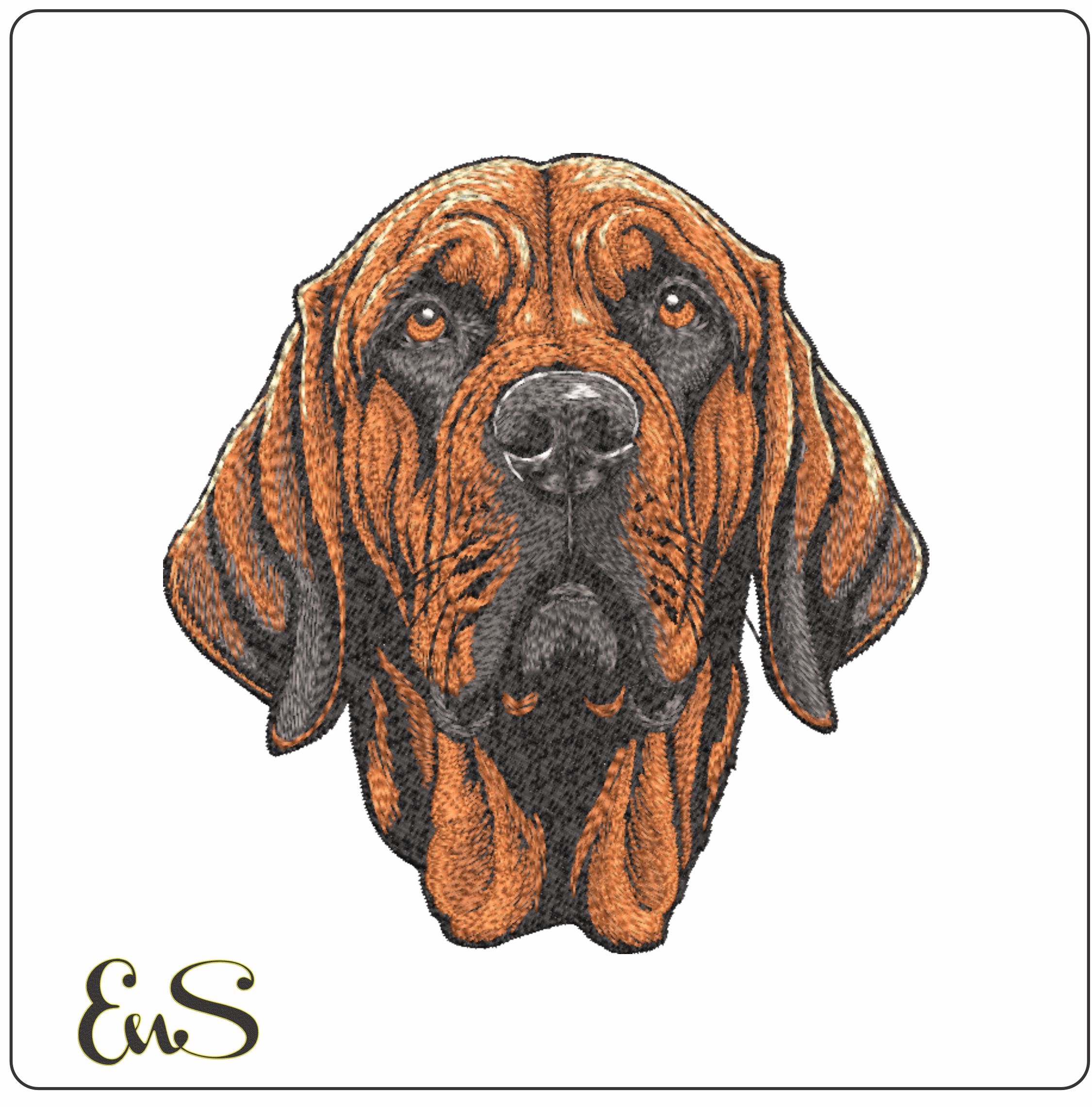 Bloodhound Face