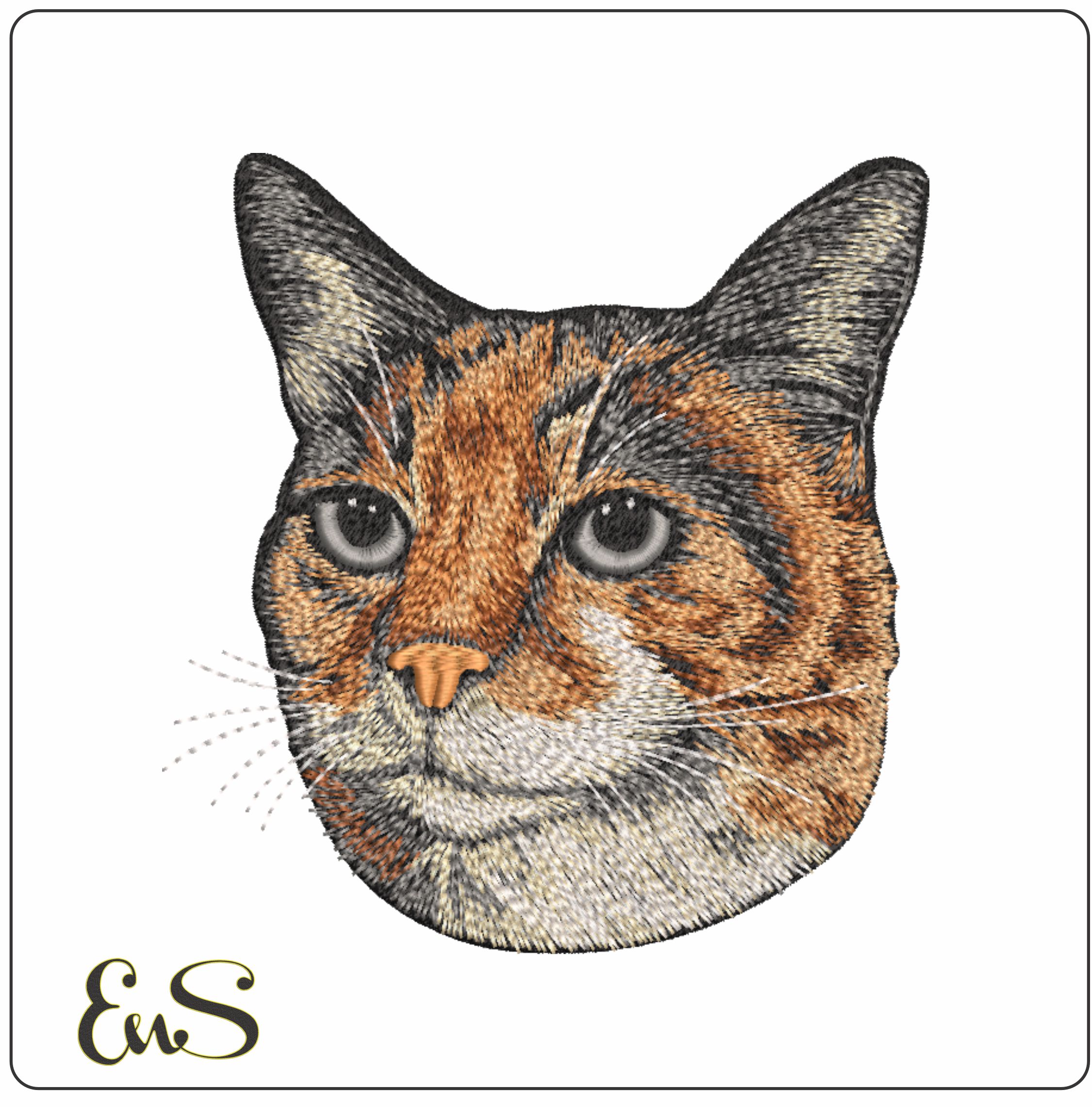 Calico Cat