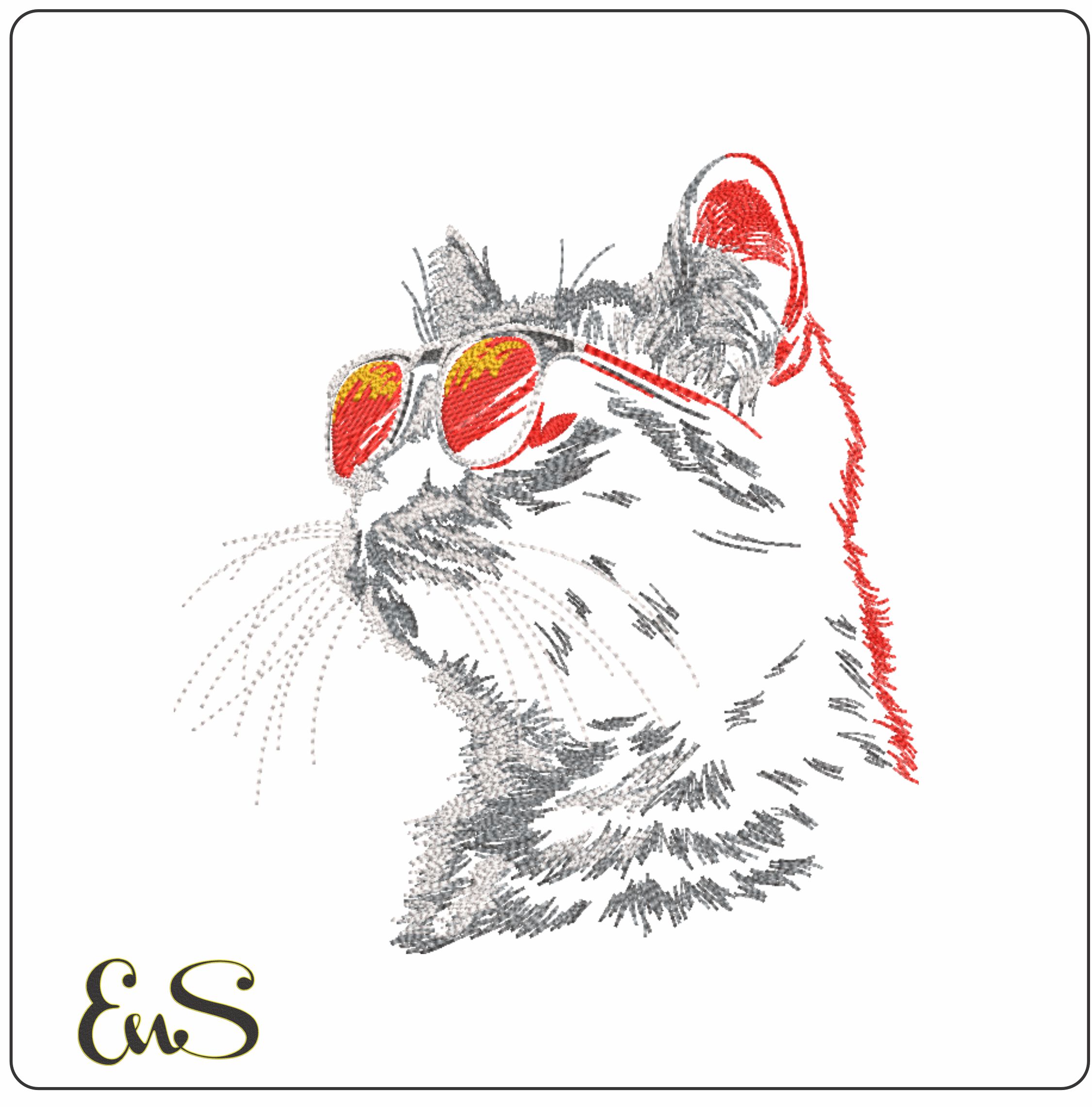 Cool Cat