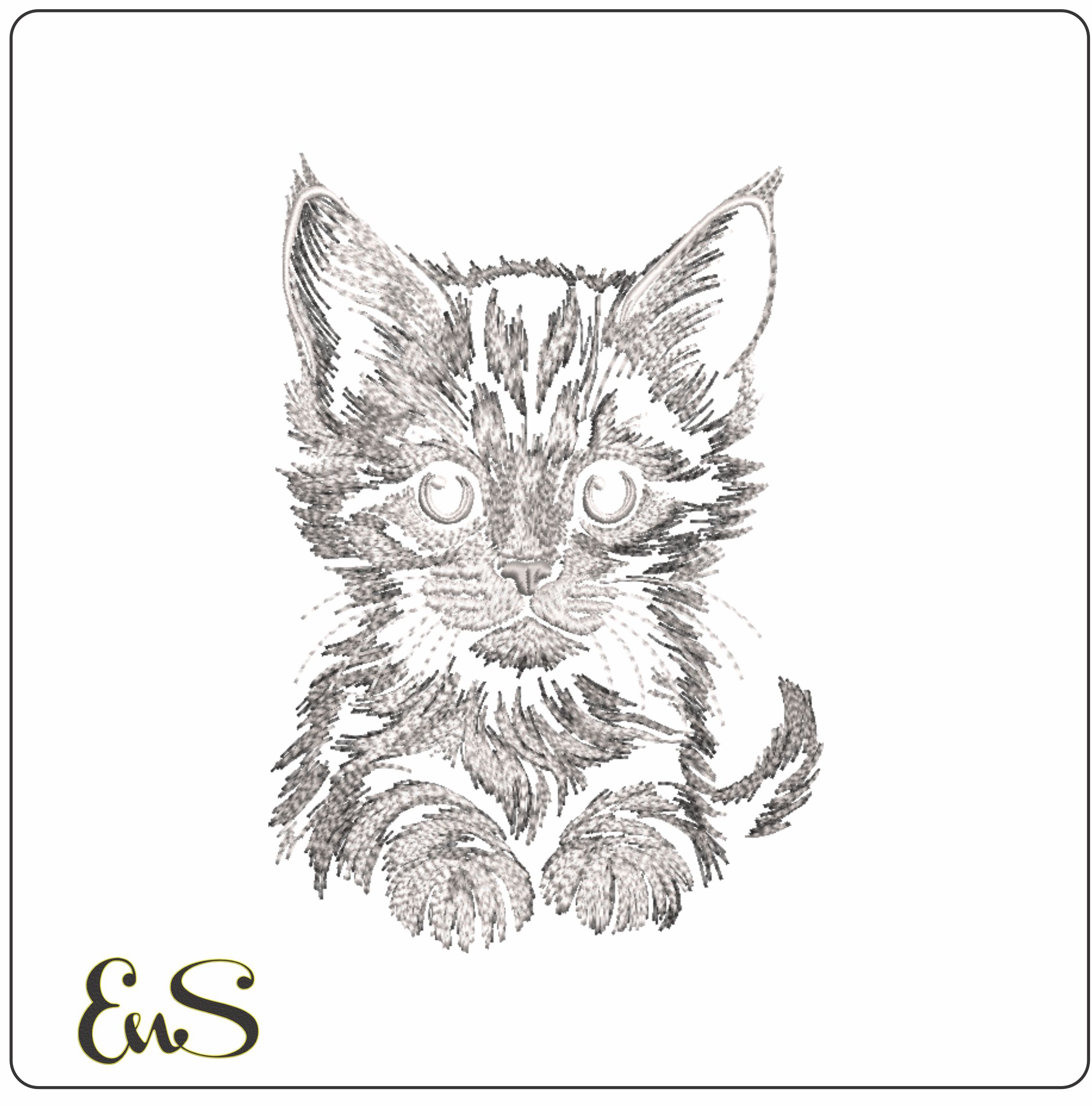 Cute Kitten