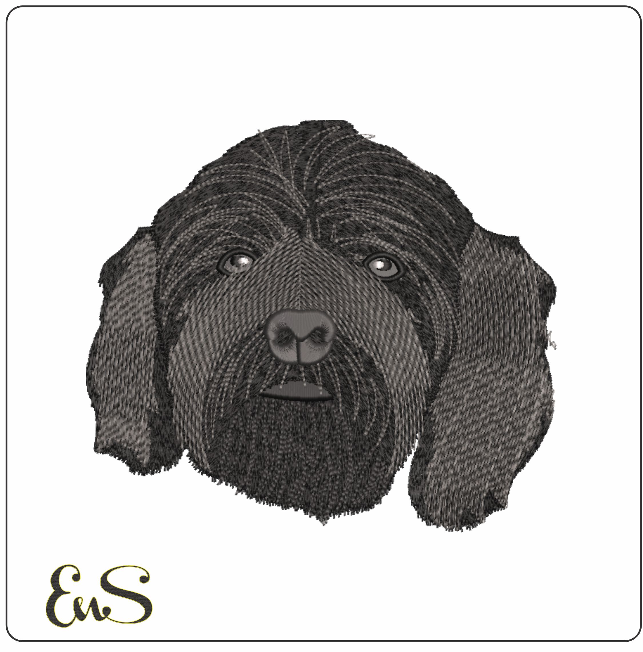 Dog 80