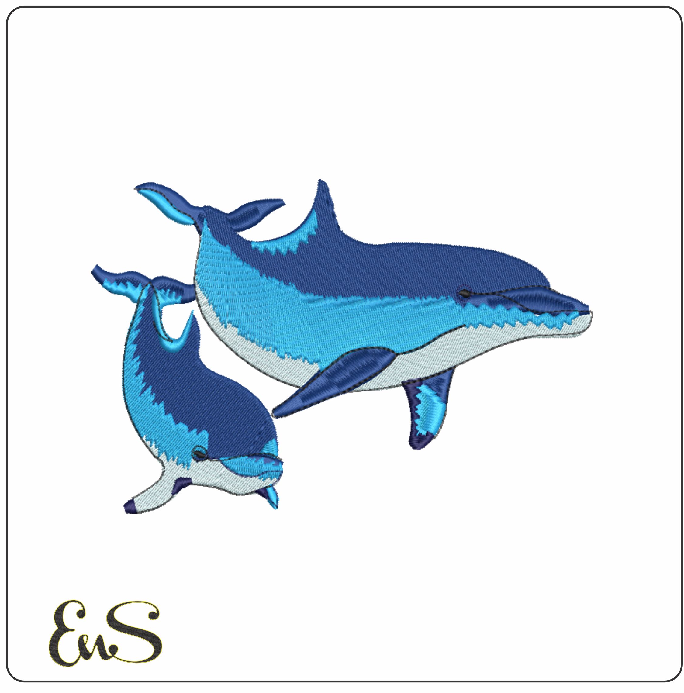 Dolphin And Baby
