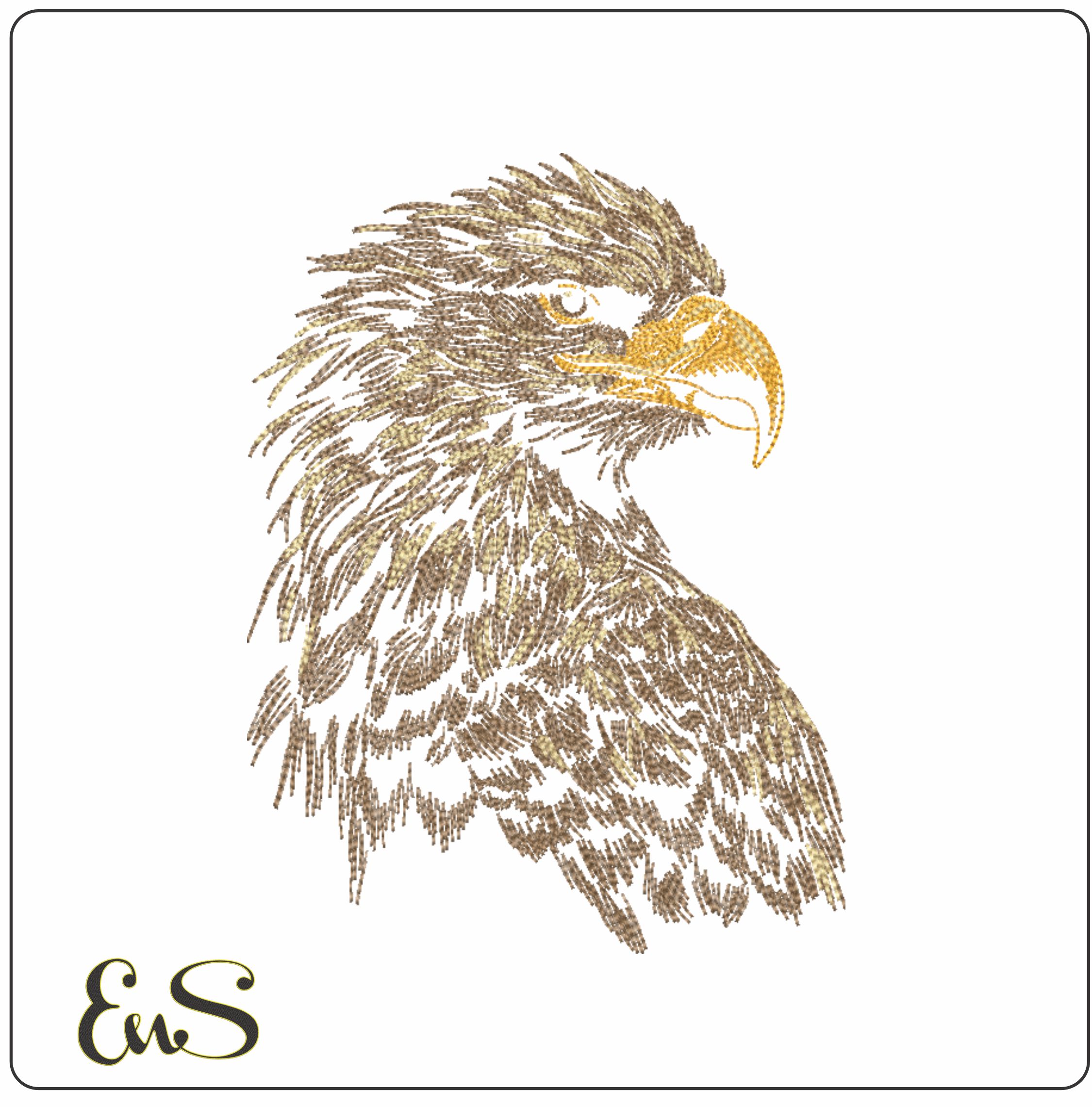 Golden Eagle Head