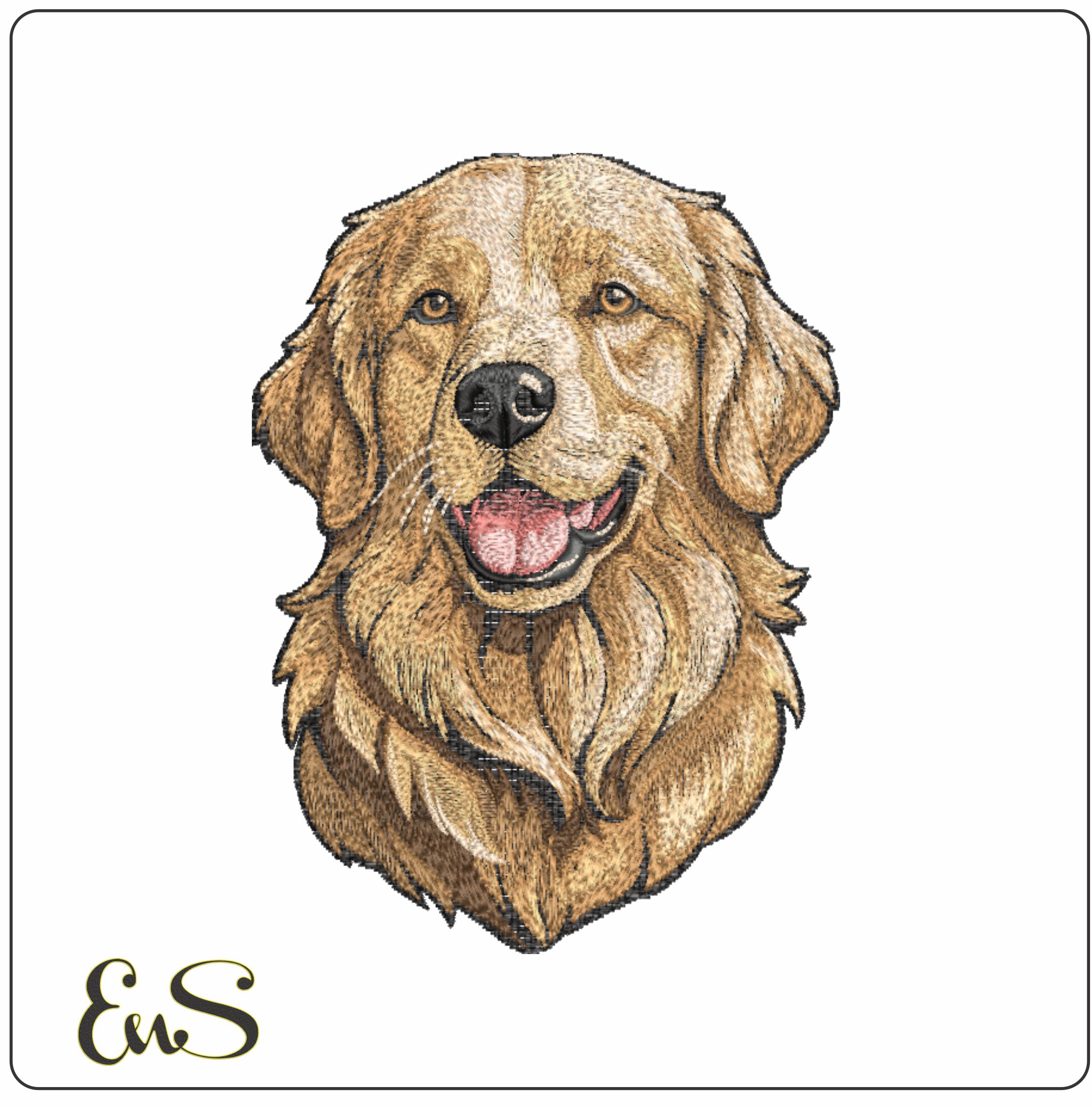 Golden Retriever Face