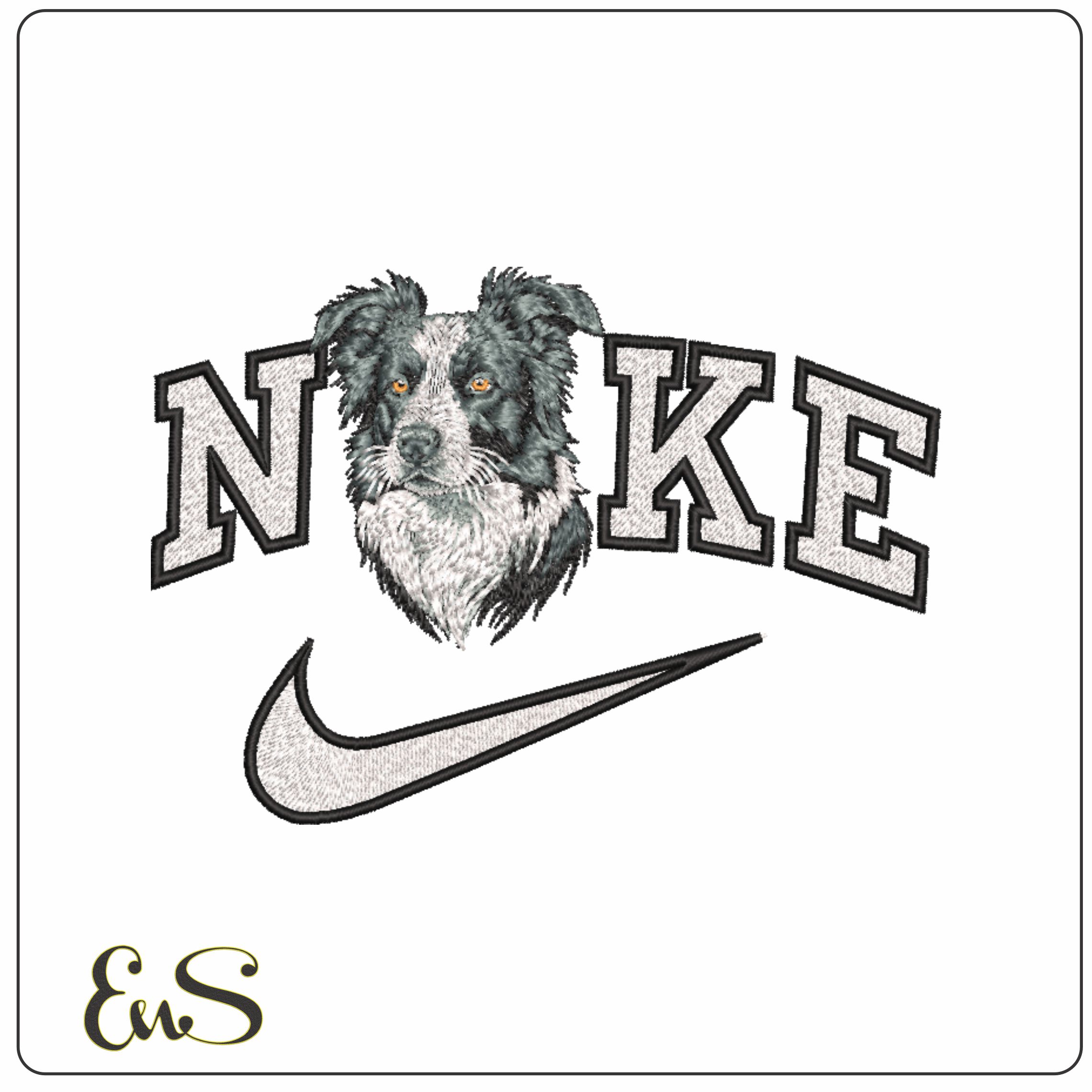 Nike Border Collie Dog