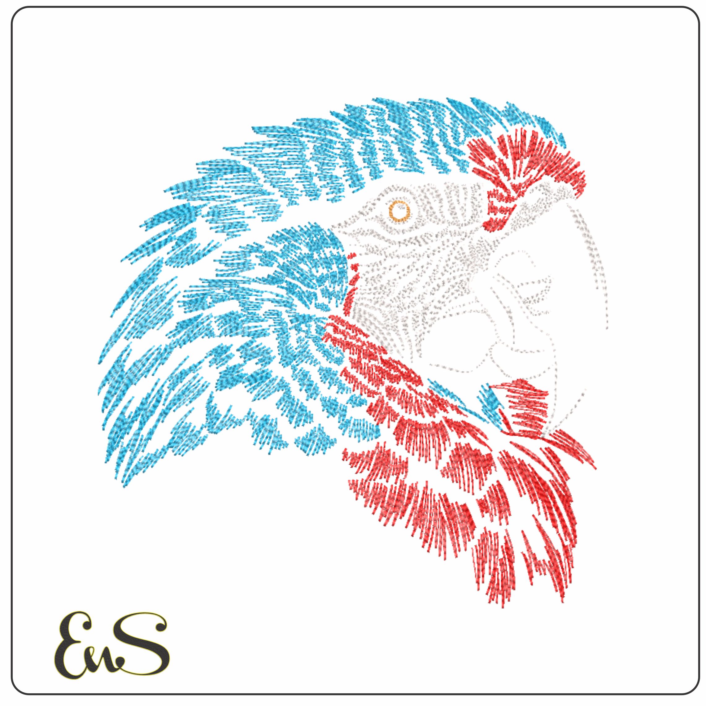 Macaw Bird Head