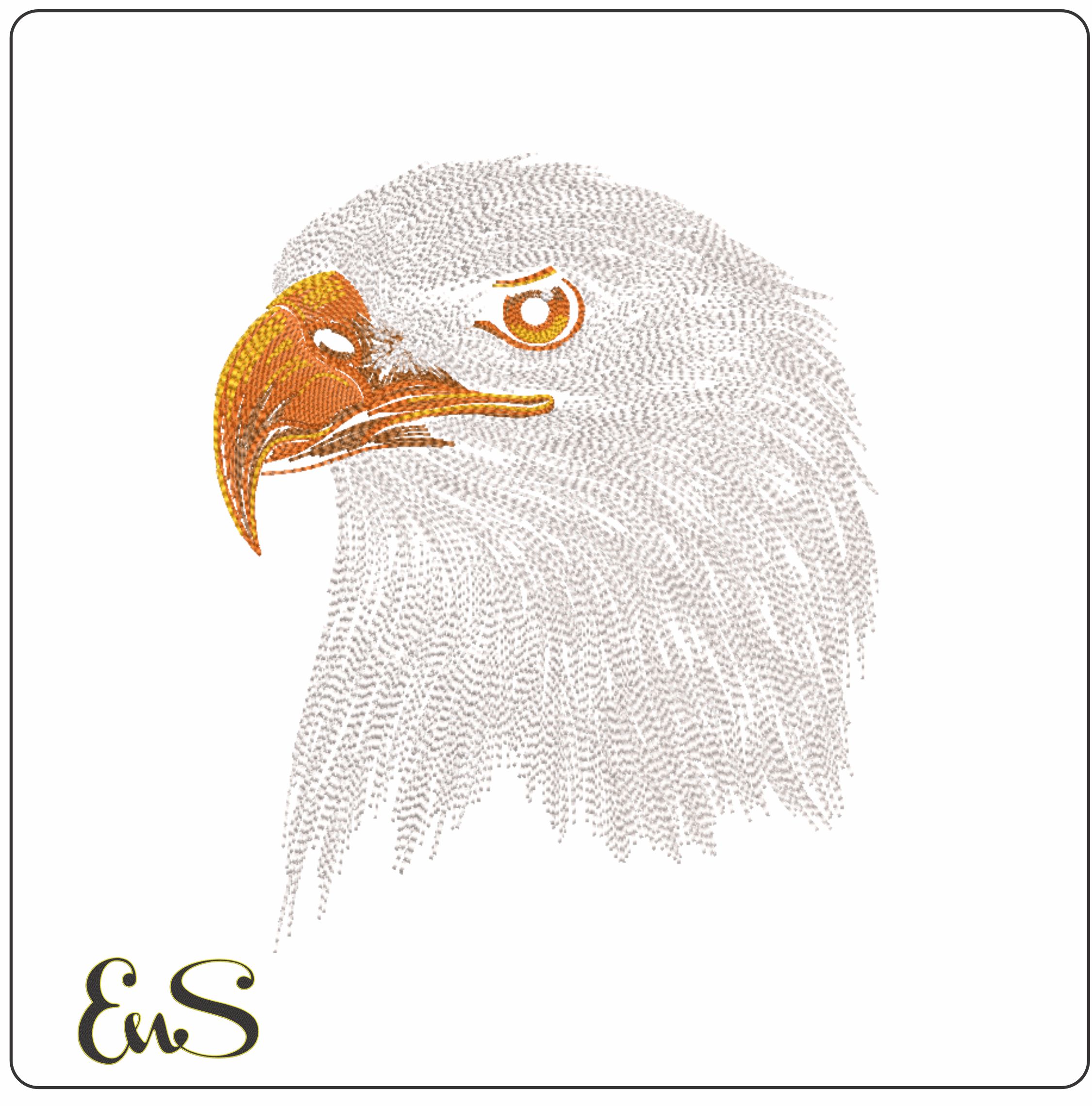 American Bald Eagle Line Art