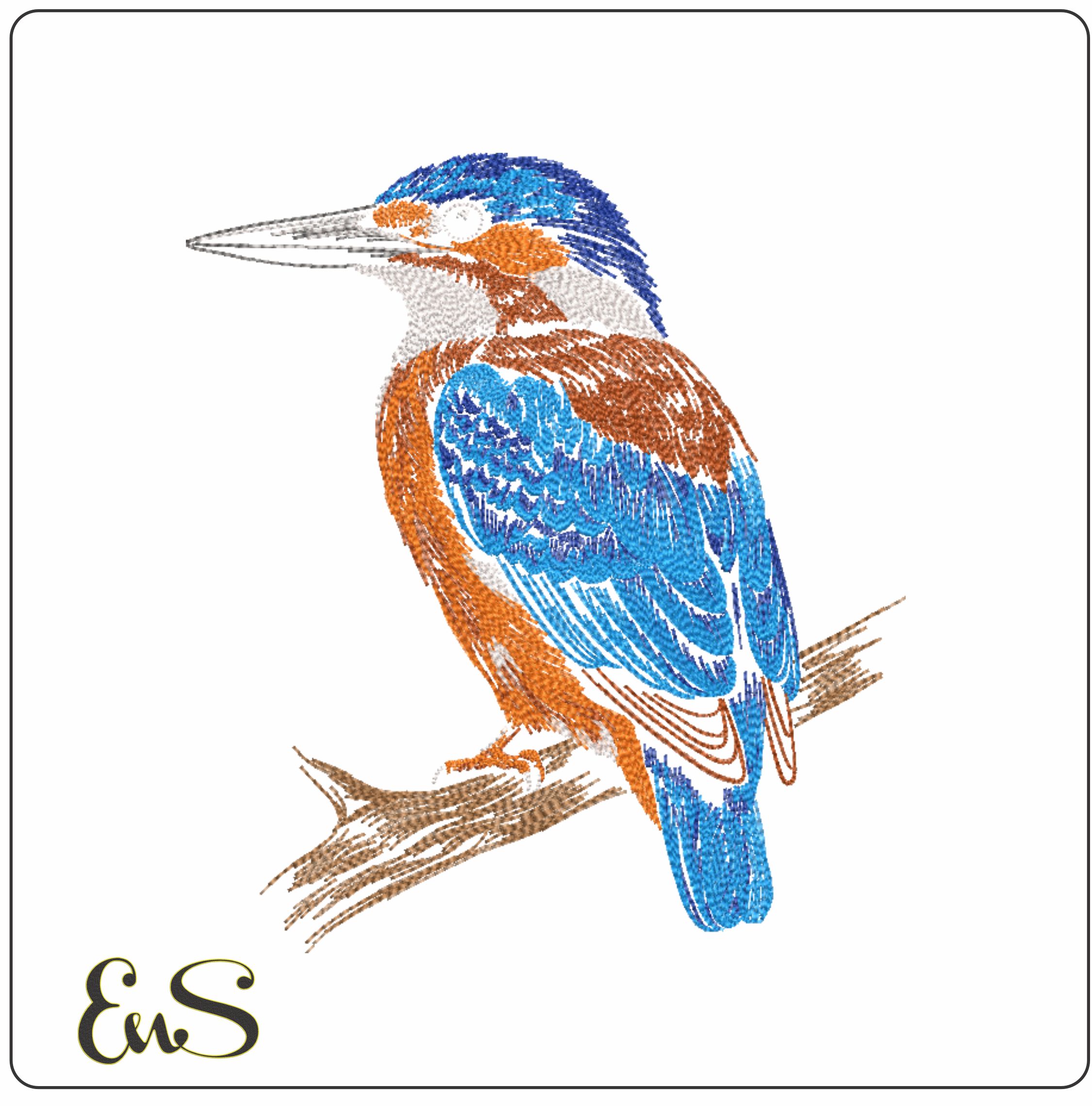 Blue Kingfisher
