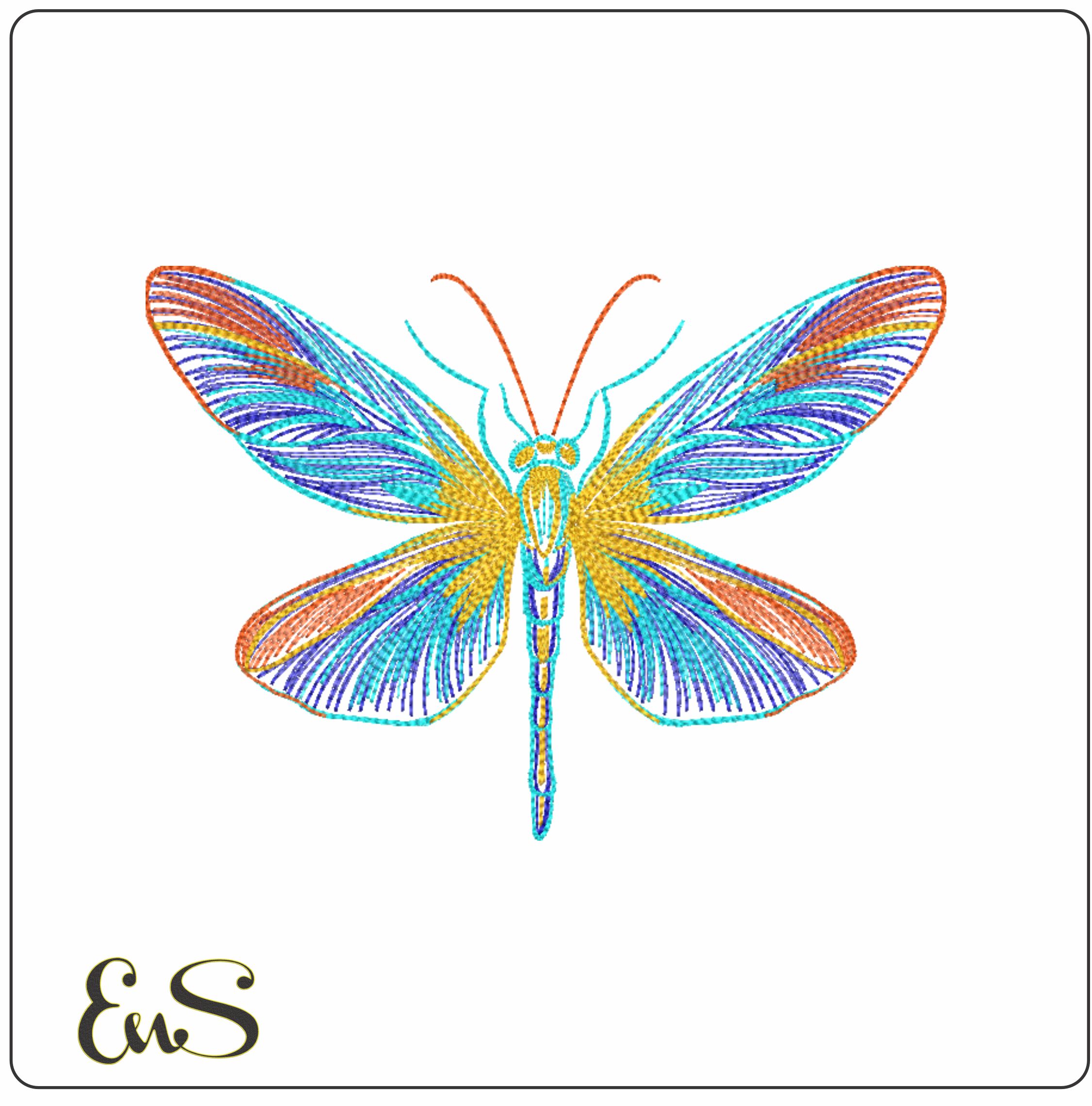 Colorful Dragonfly