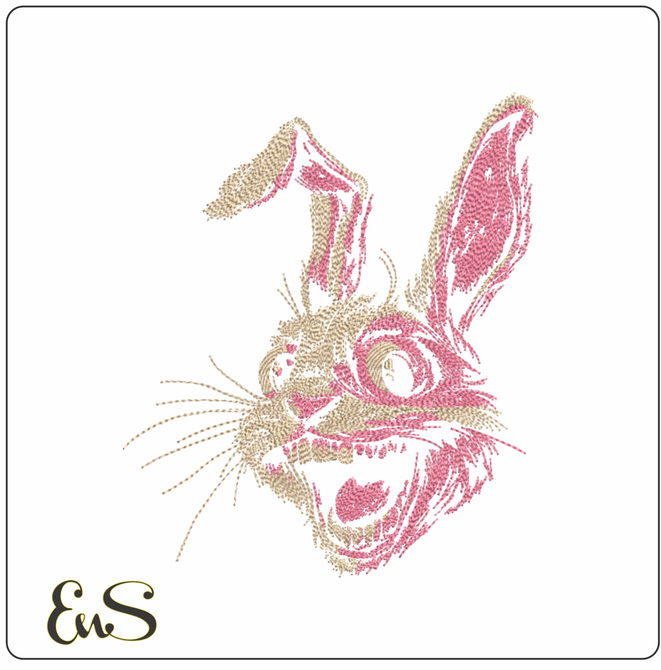 Crazy Rabbit
