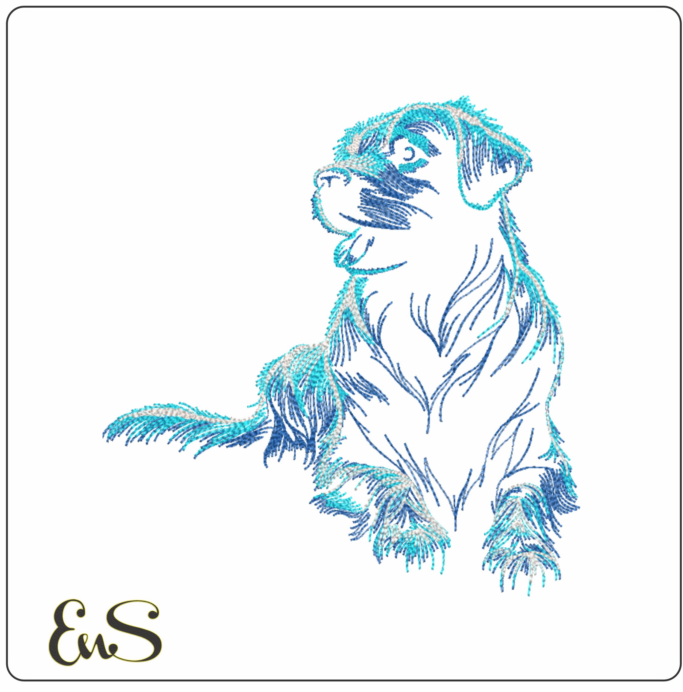 Electric Blue Labrador