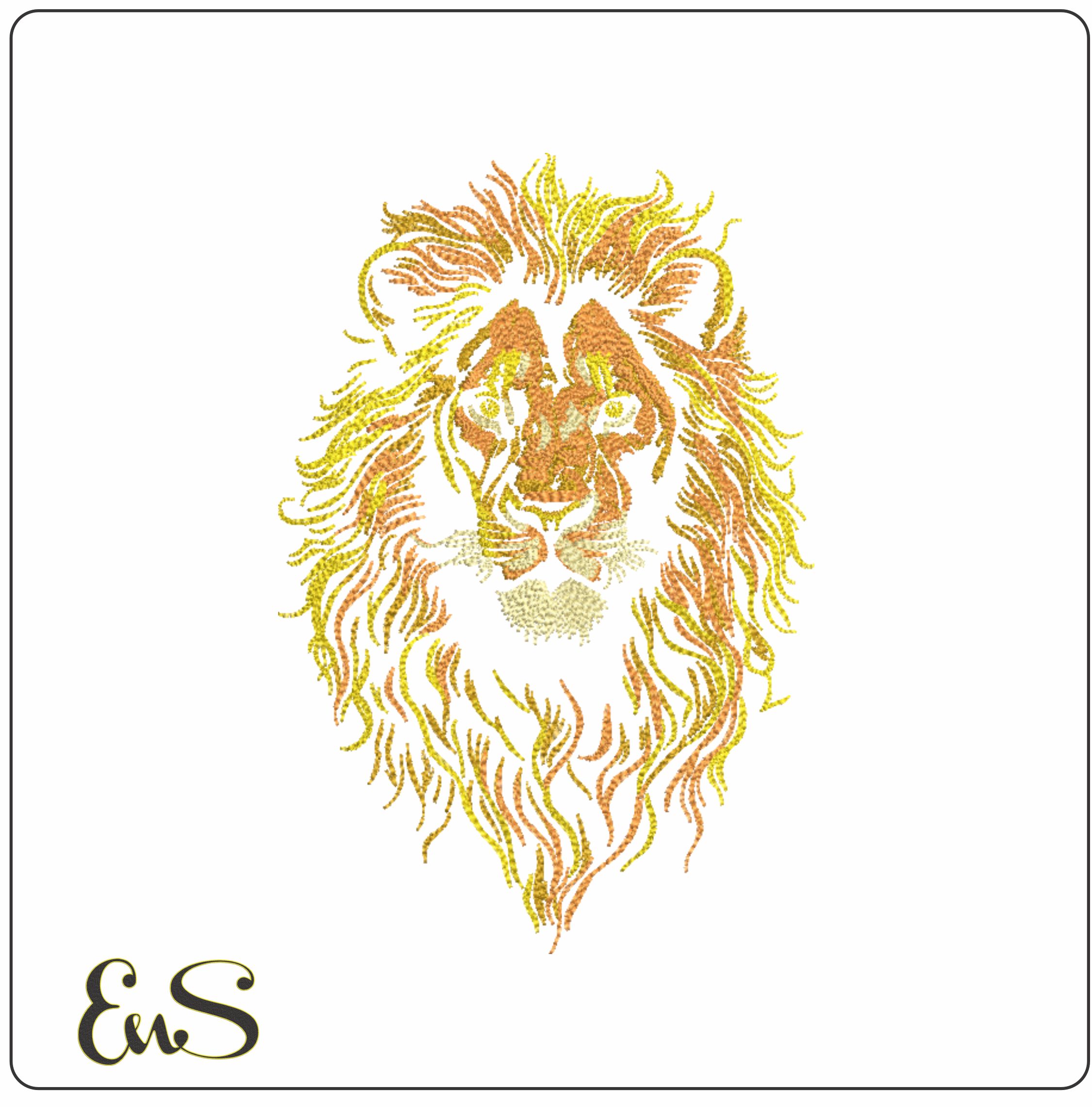 Lion Staring