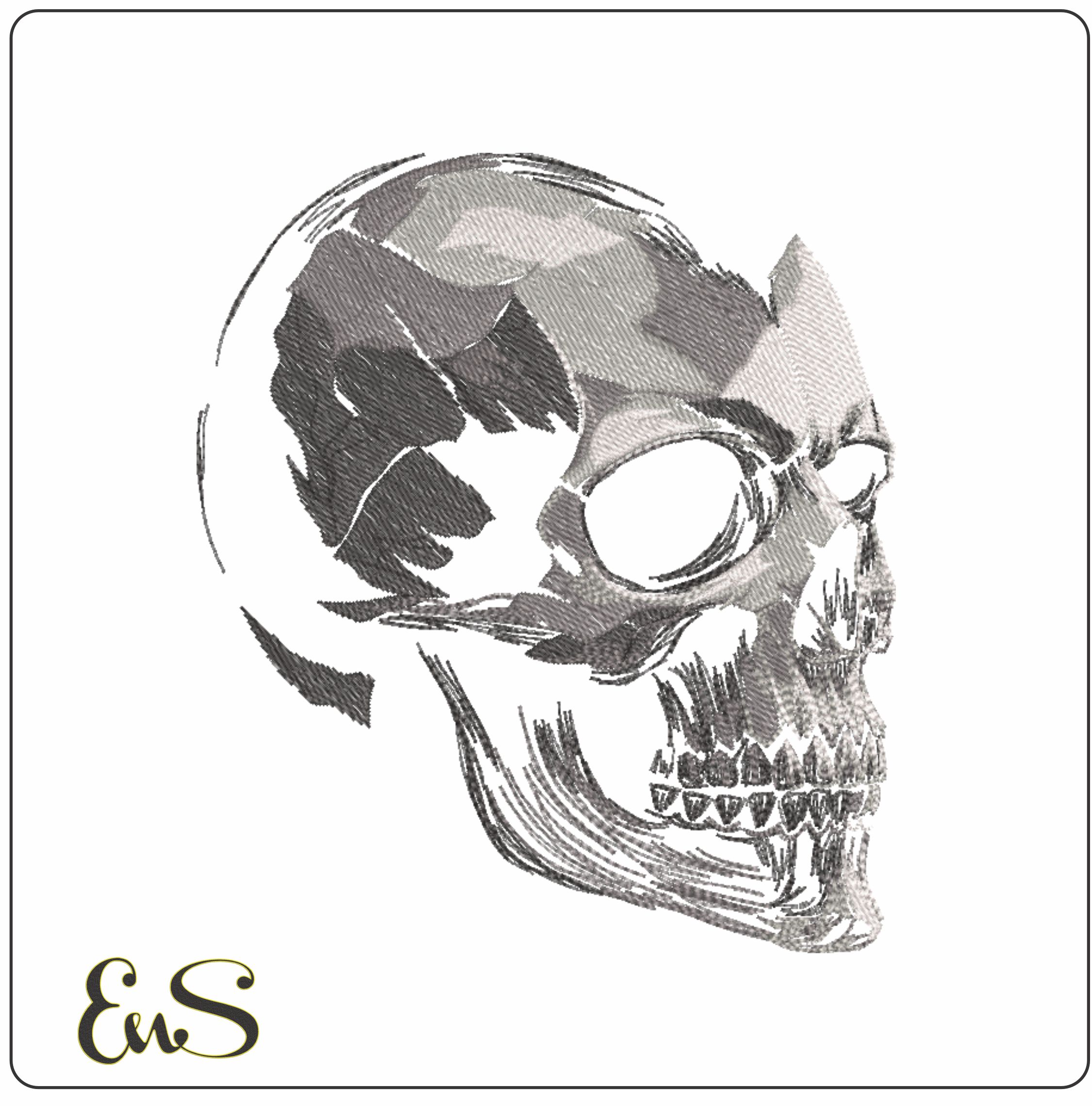 Mono Chrome Detailed Skull