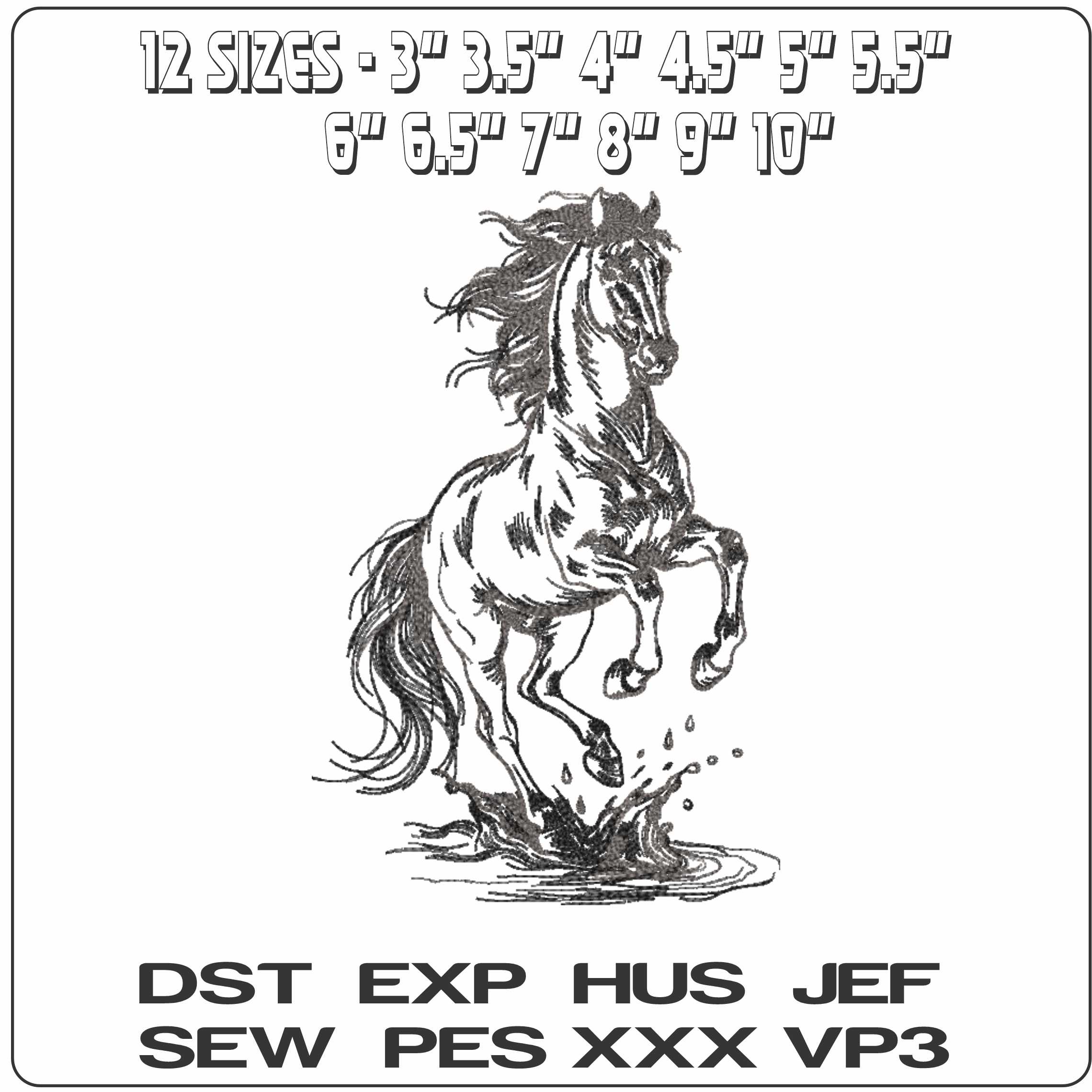 Mono Chrome Rearing Horse