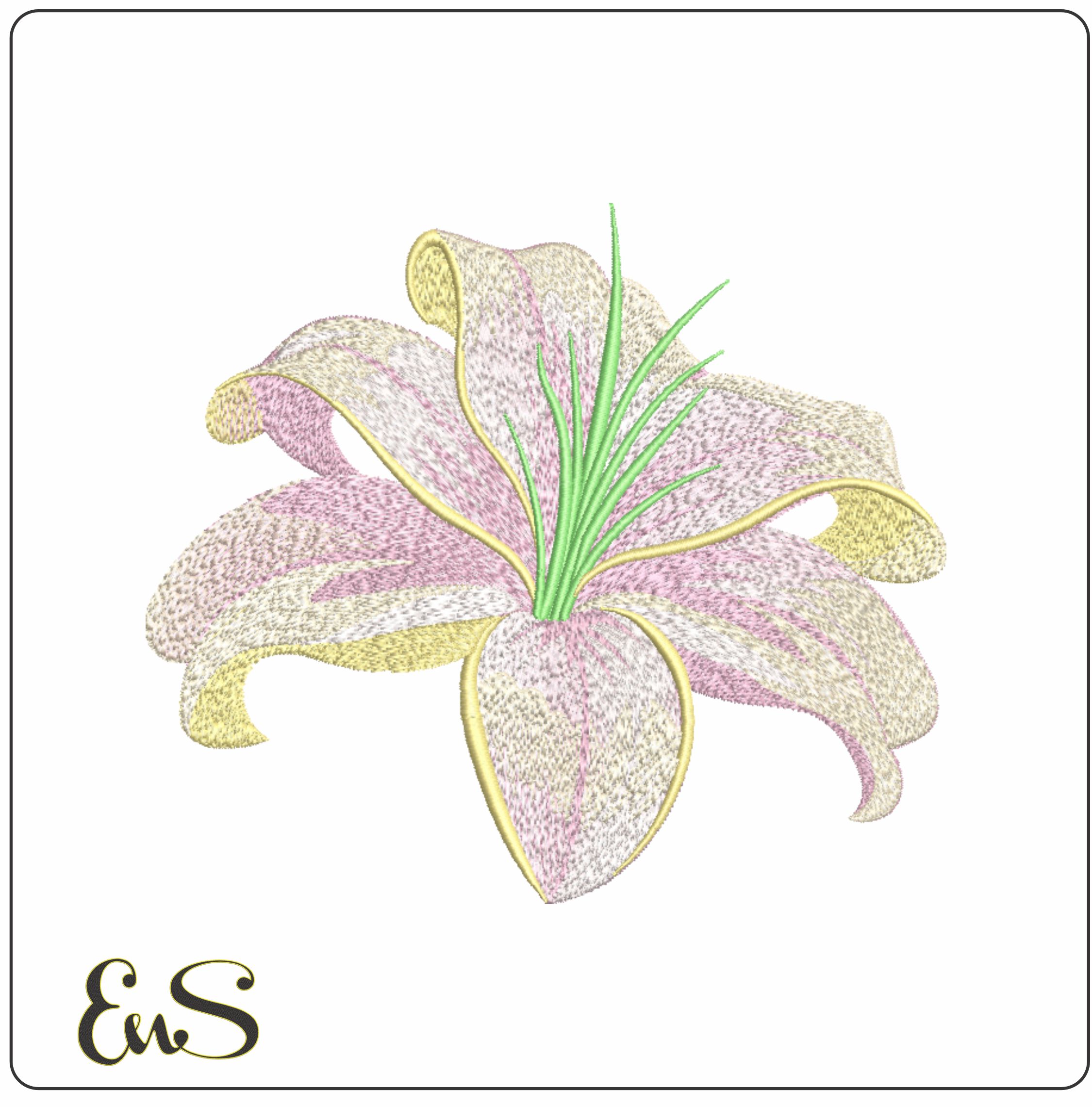 Pastel Lily