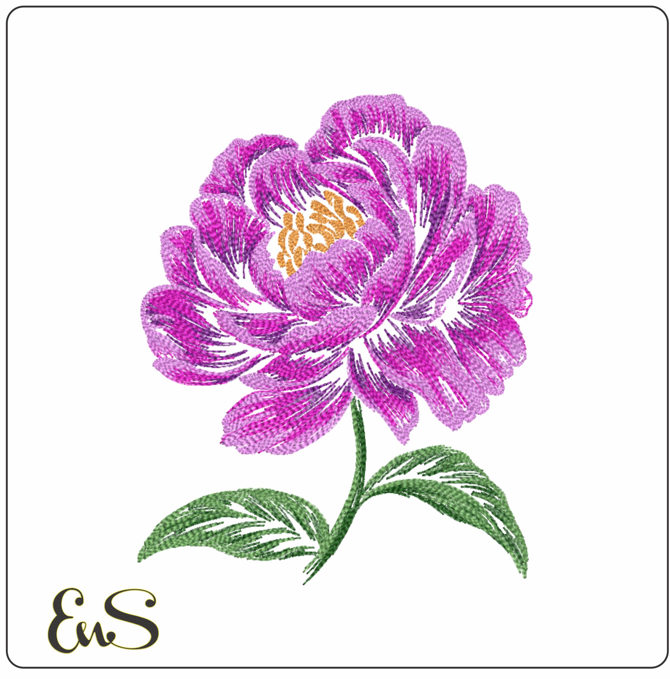 Purple Peony Line Art
