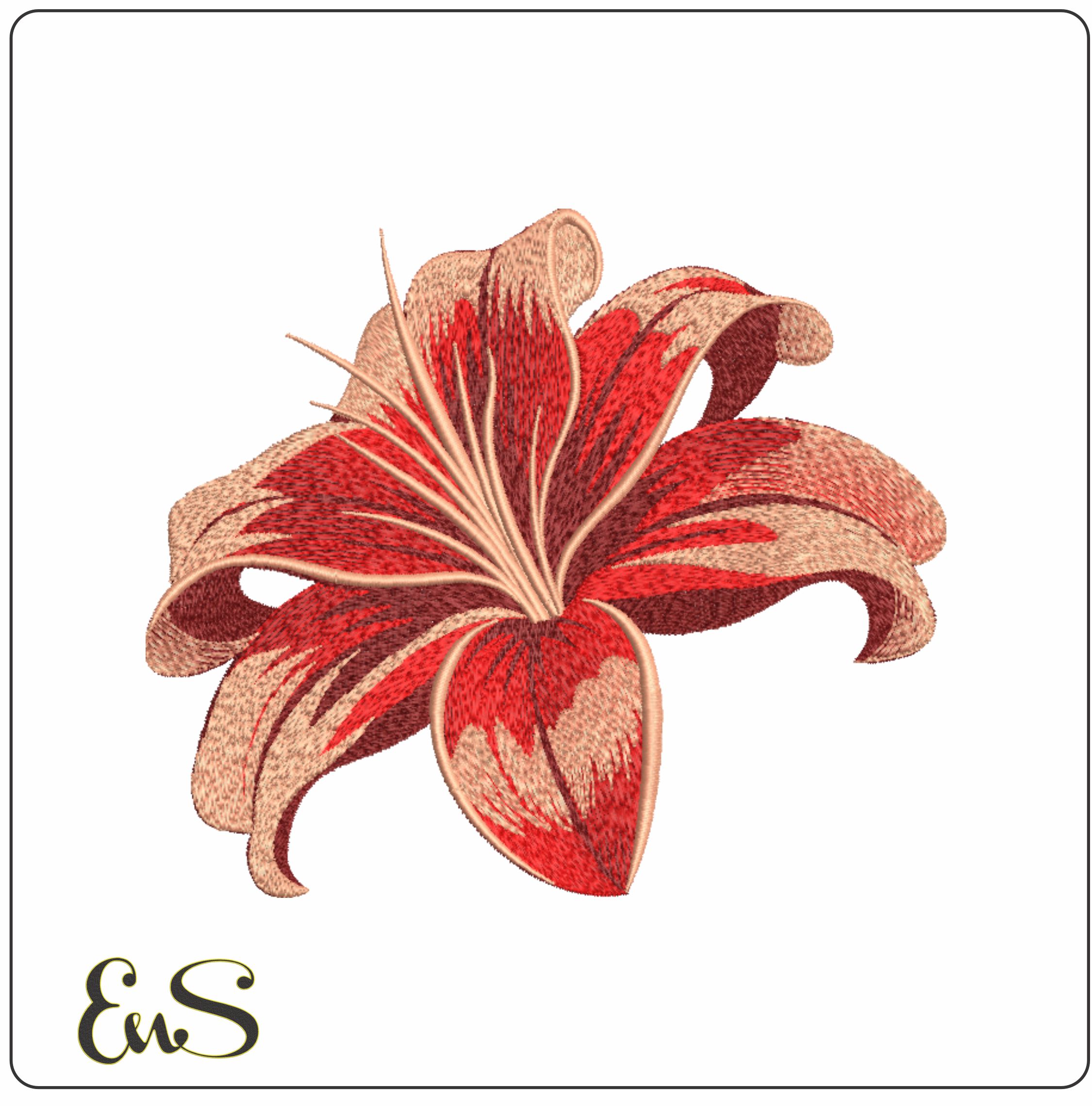 Red Lily