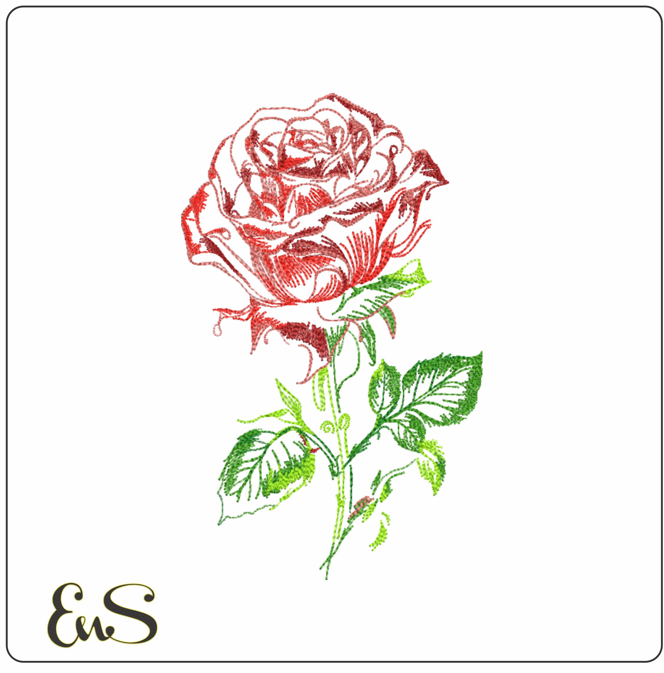 Single Red Rose