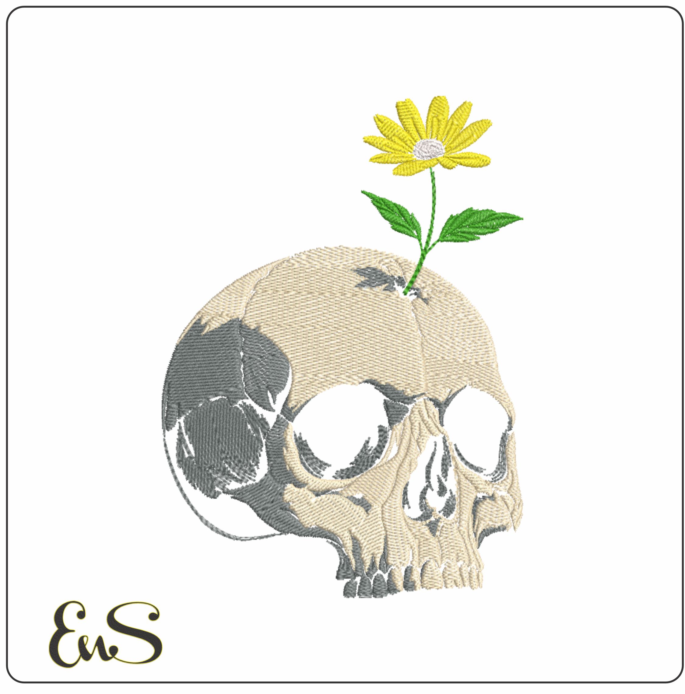 Skull With Daisy Flower