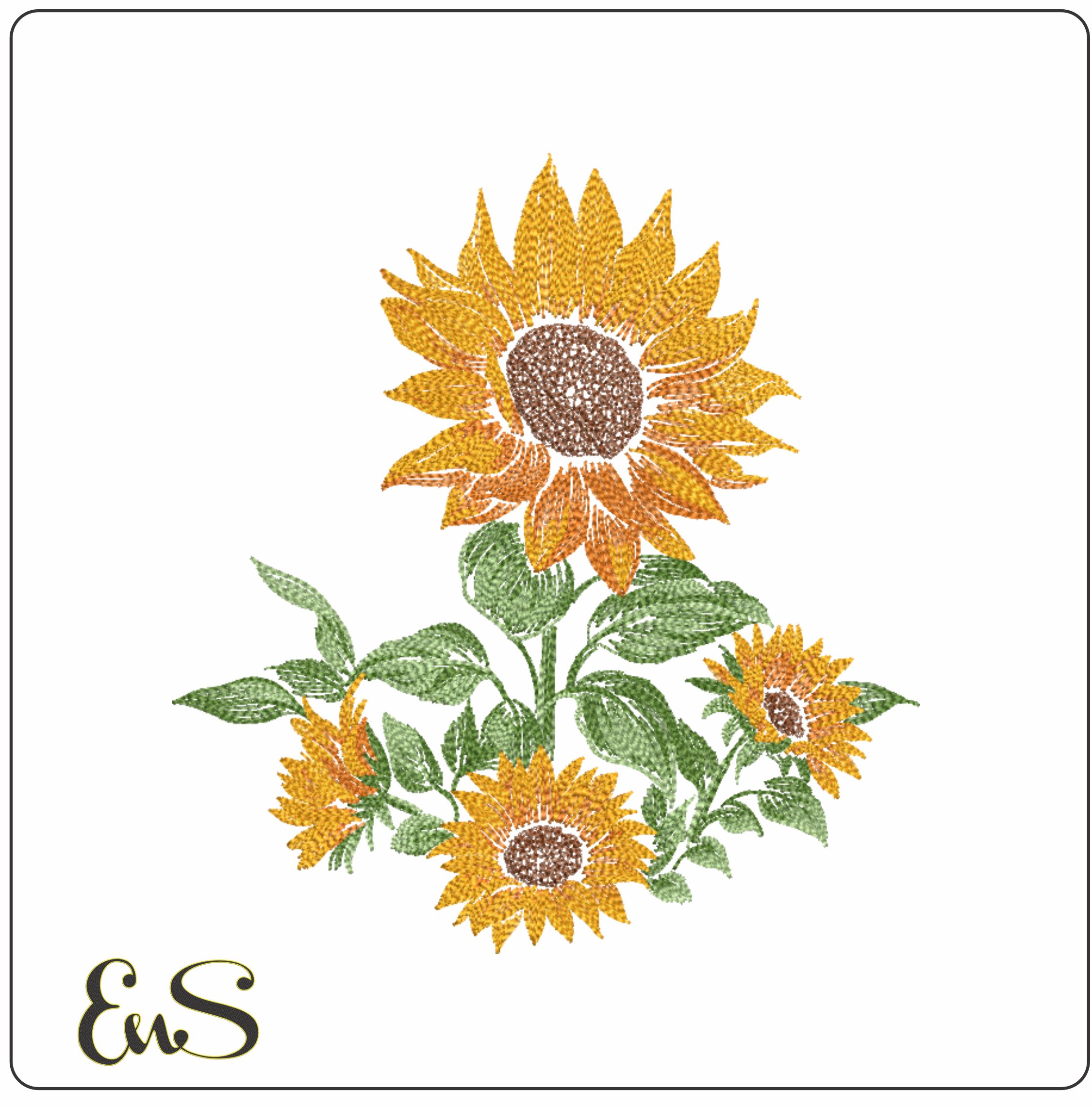 Sunflower Line Art