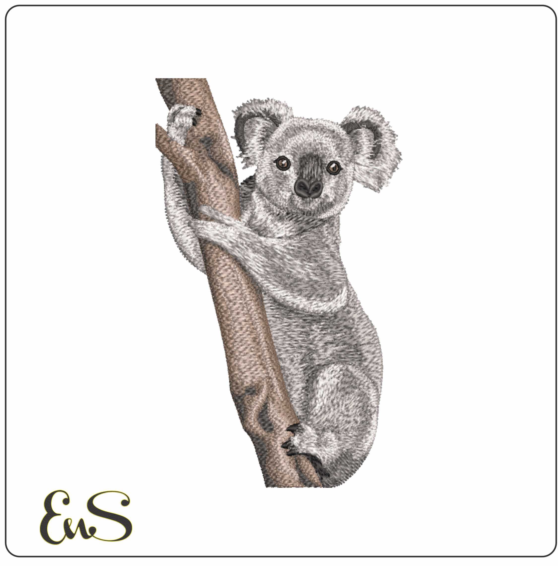 Koala Hugging Tree