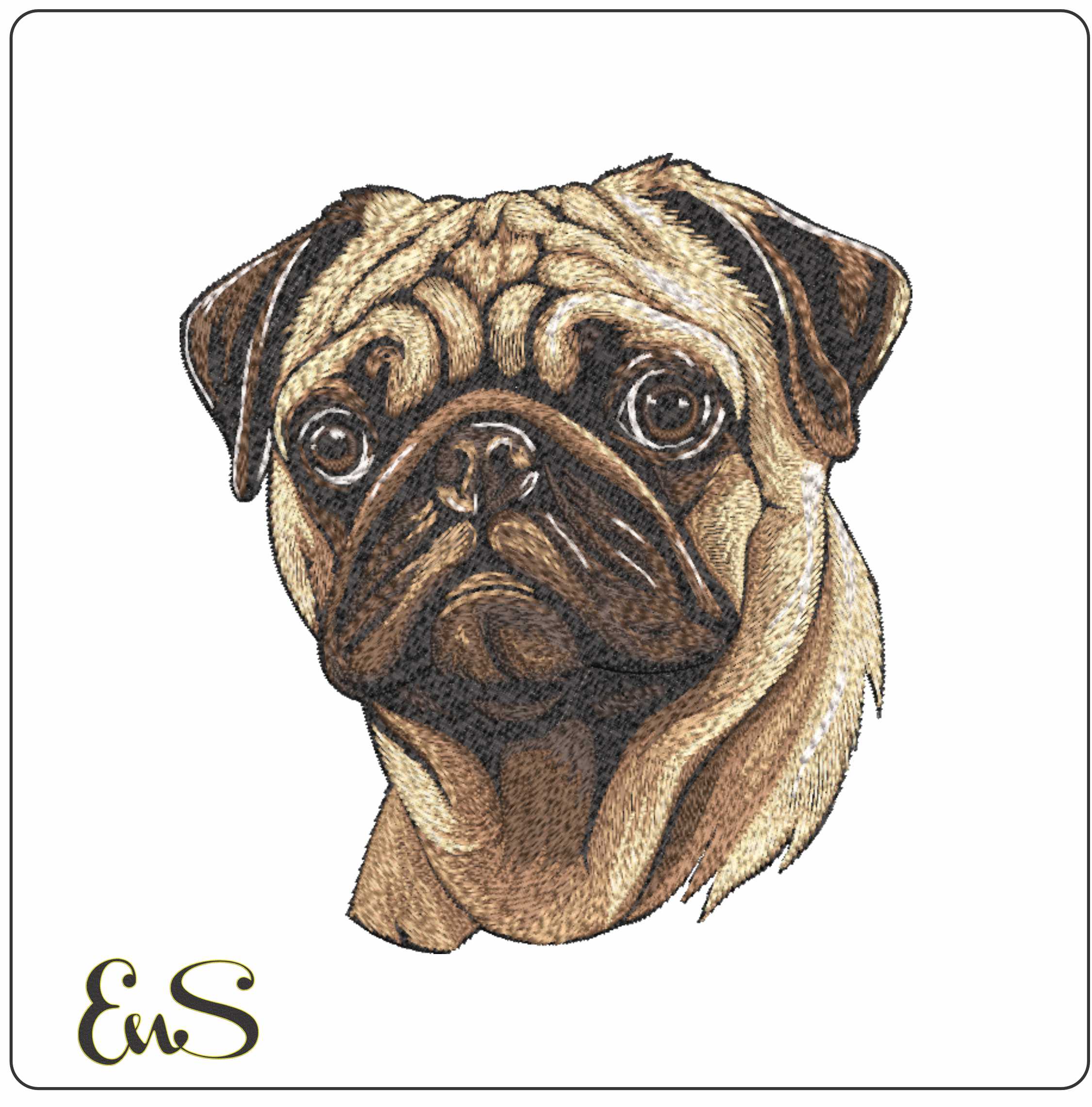 Pug Dog
