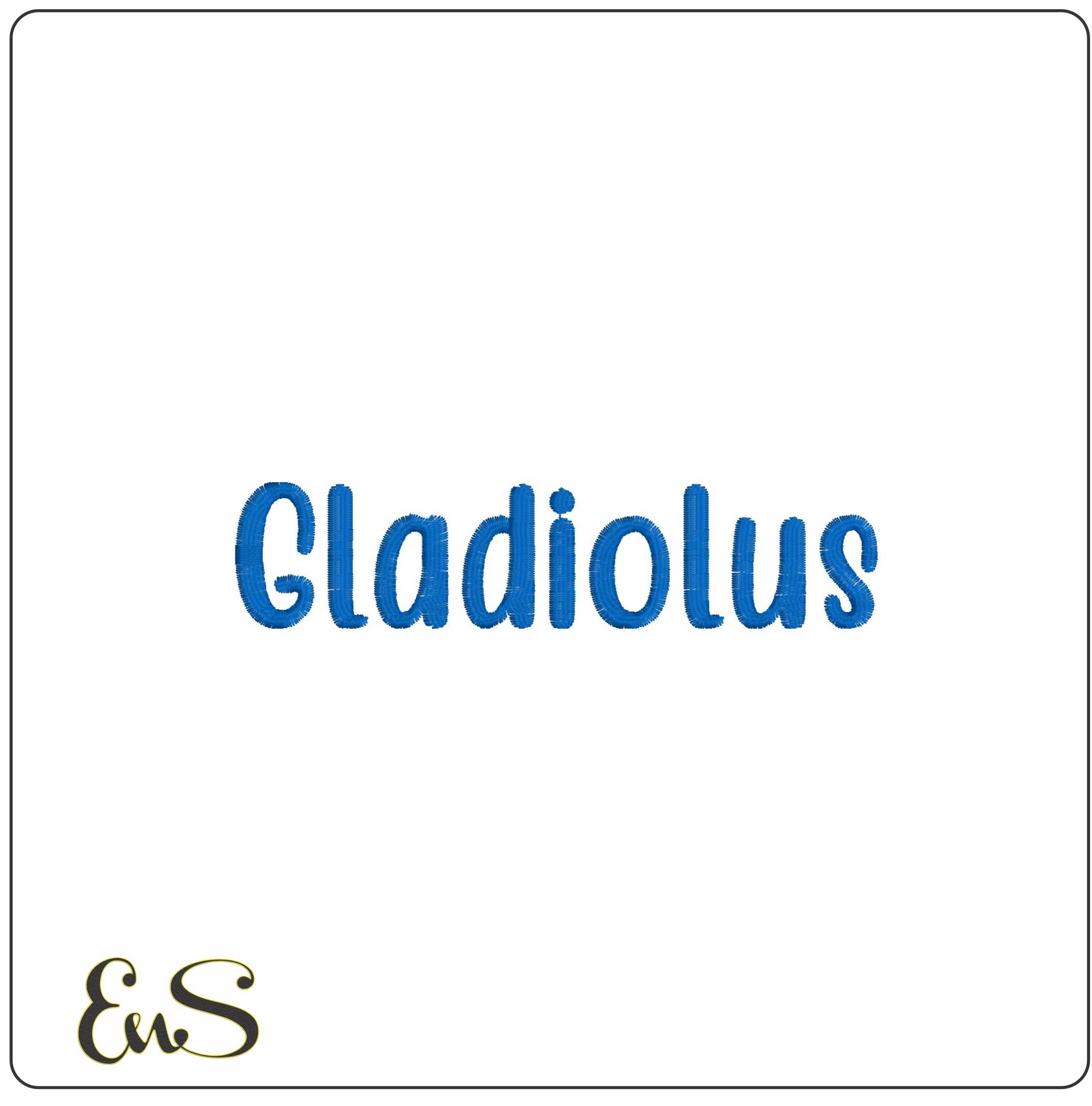 Gladiolus