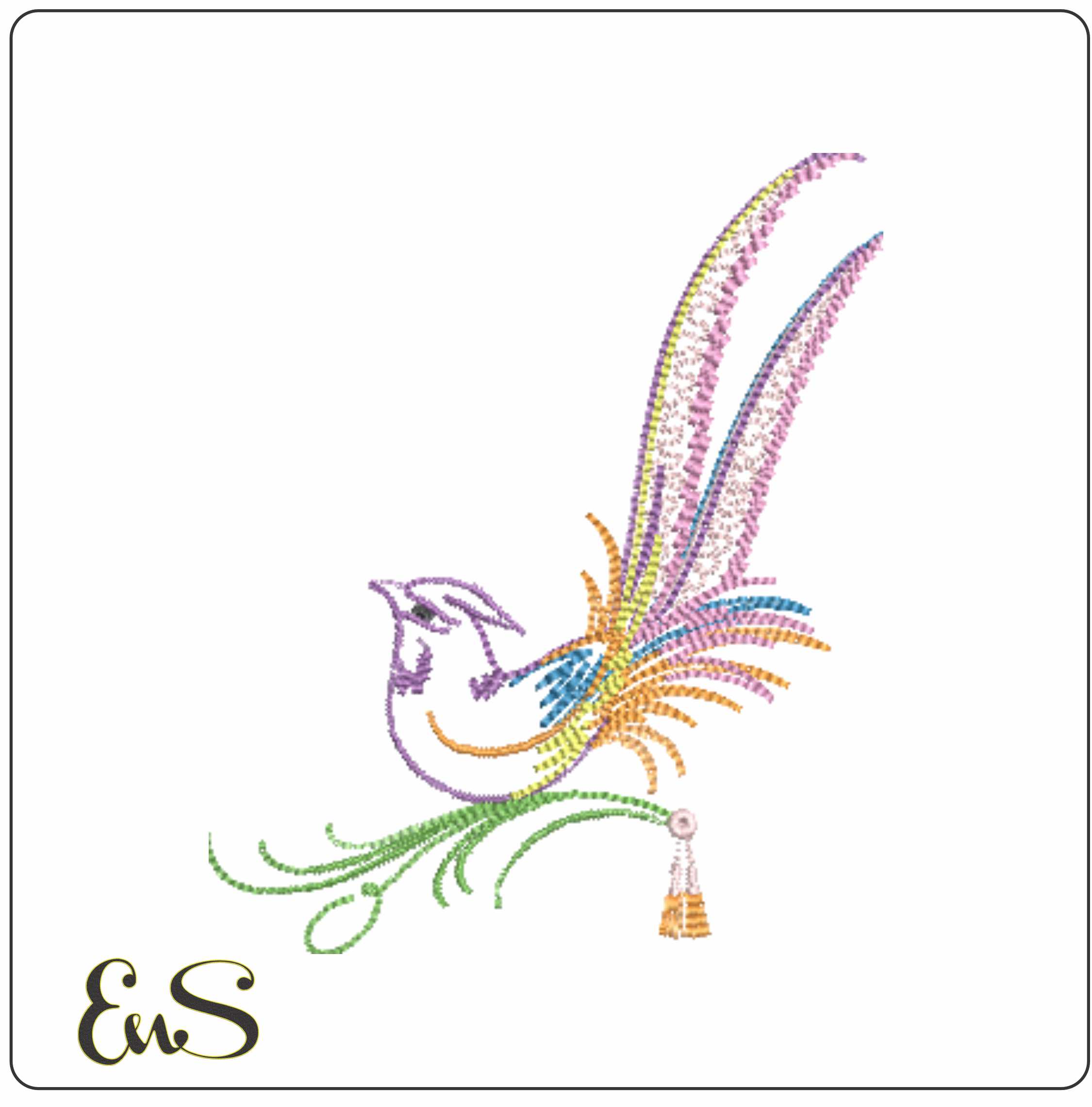 Colorful Bird