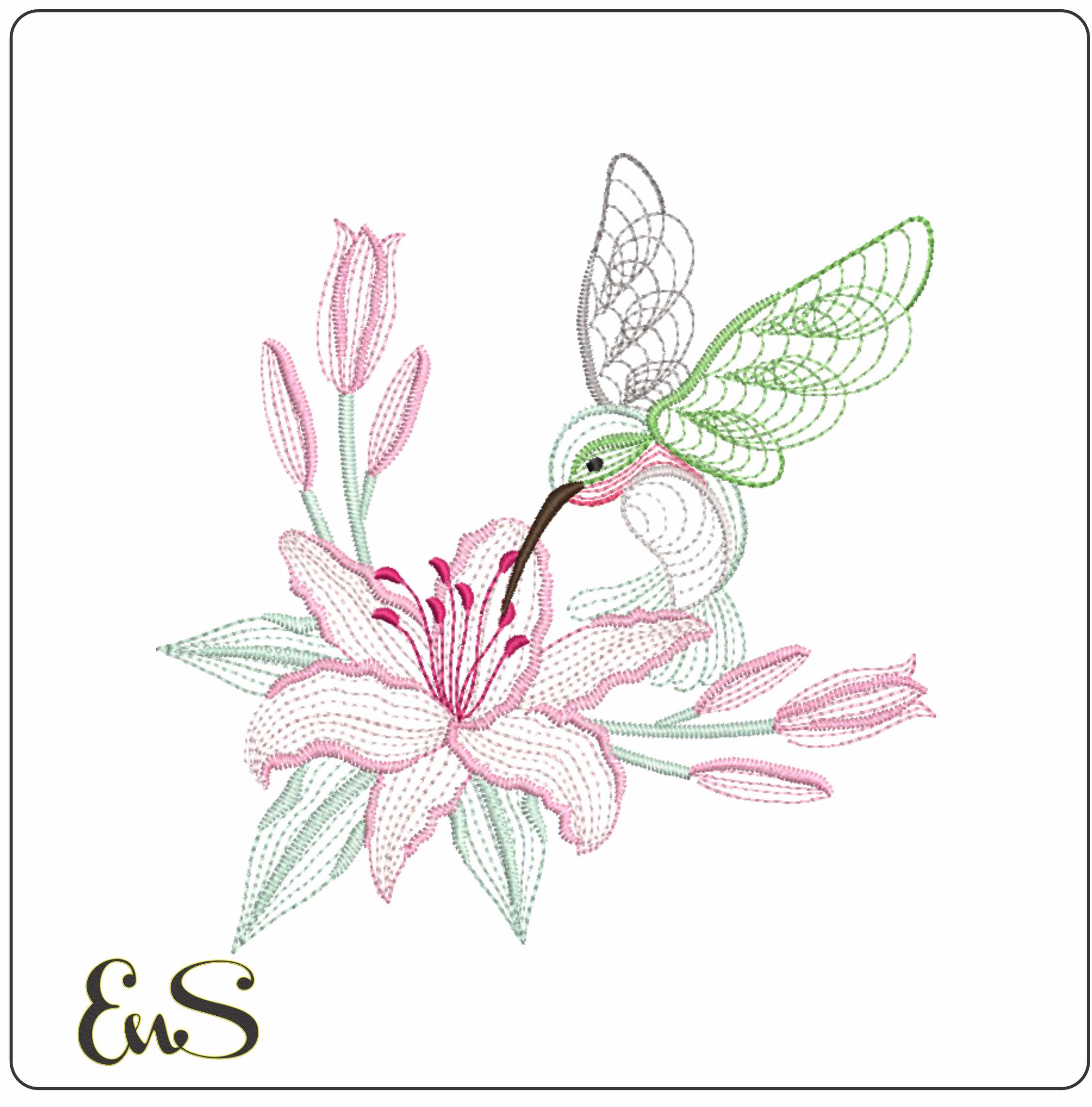 Humming Bird Above Lily Line Art