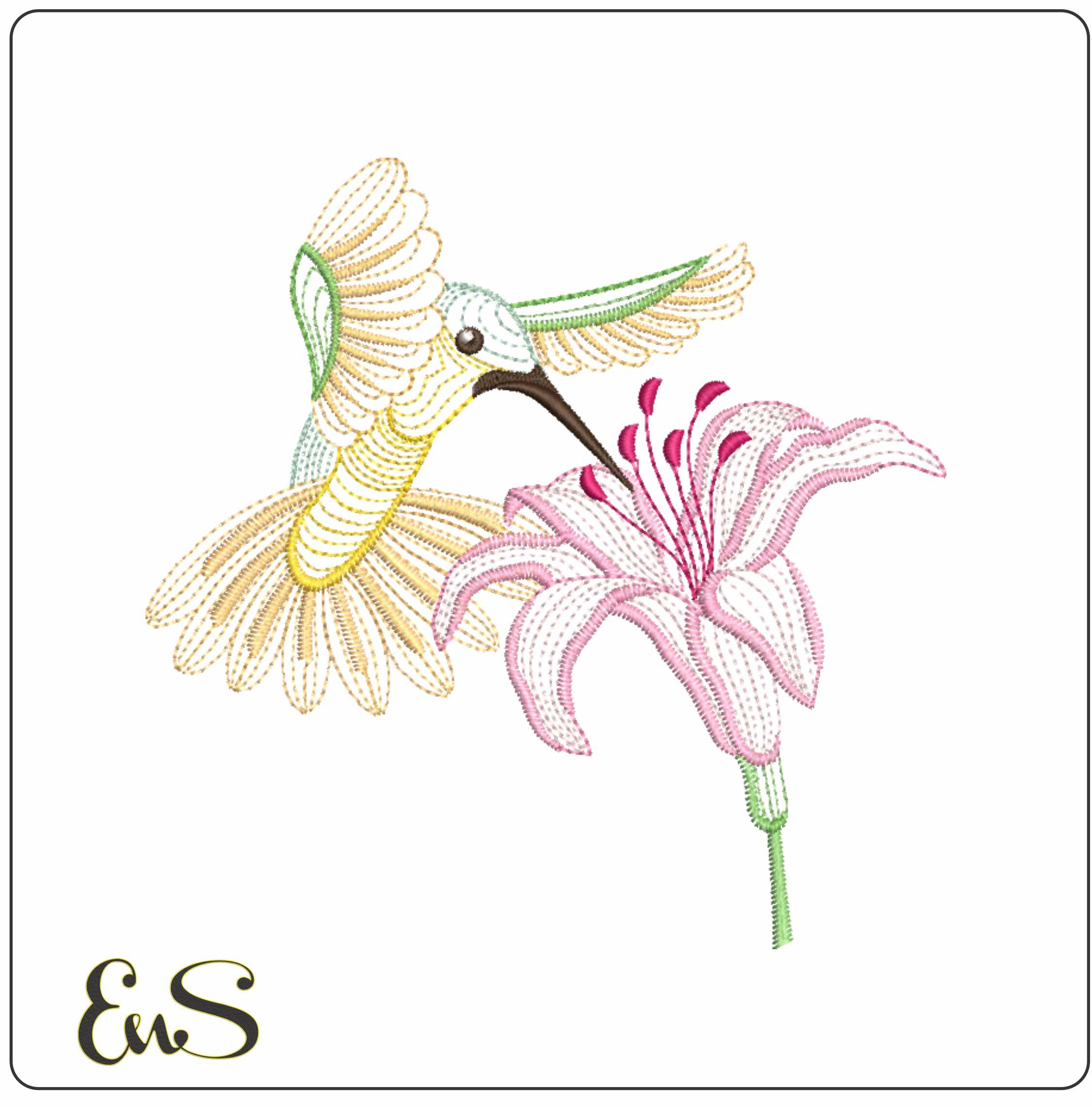 Humming Bird Above Single Flowers Line Art