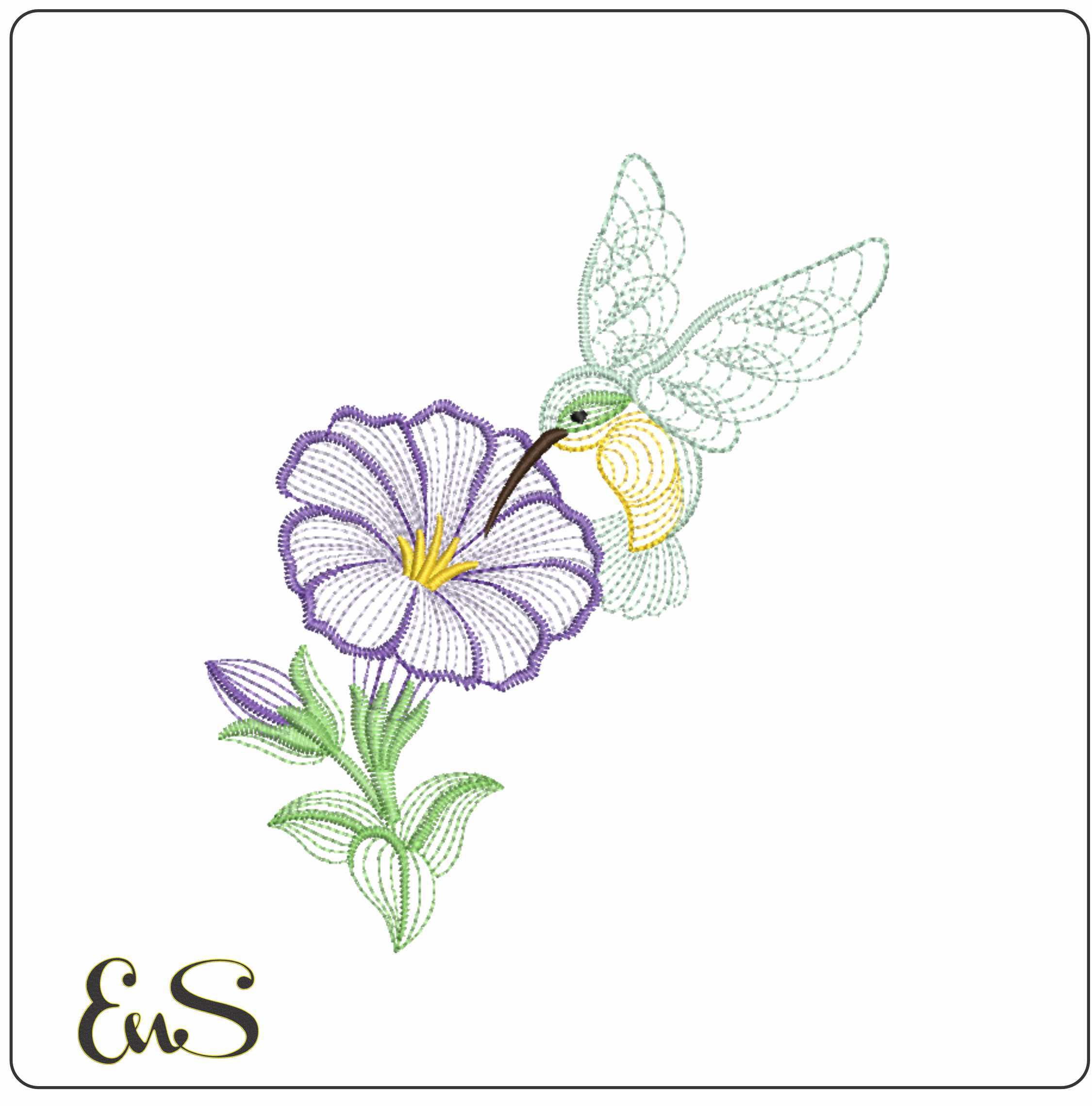Humming Bird On Single Flowers Line Art
