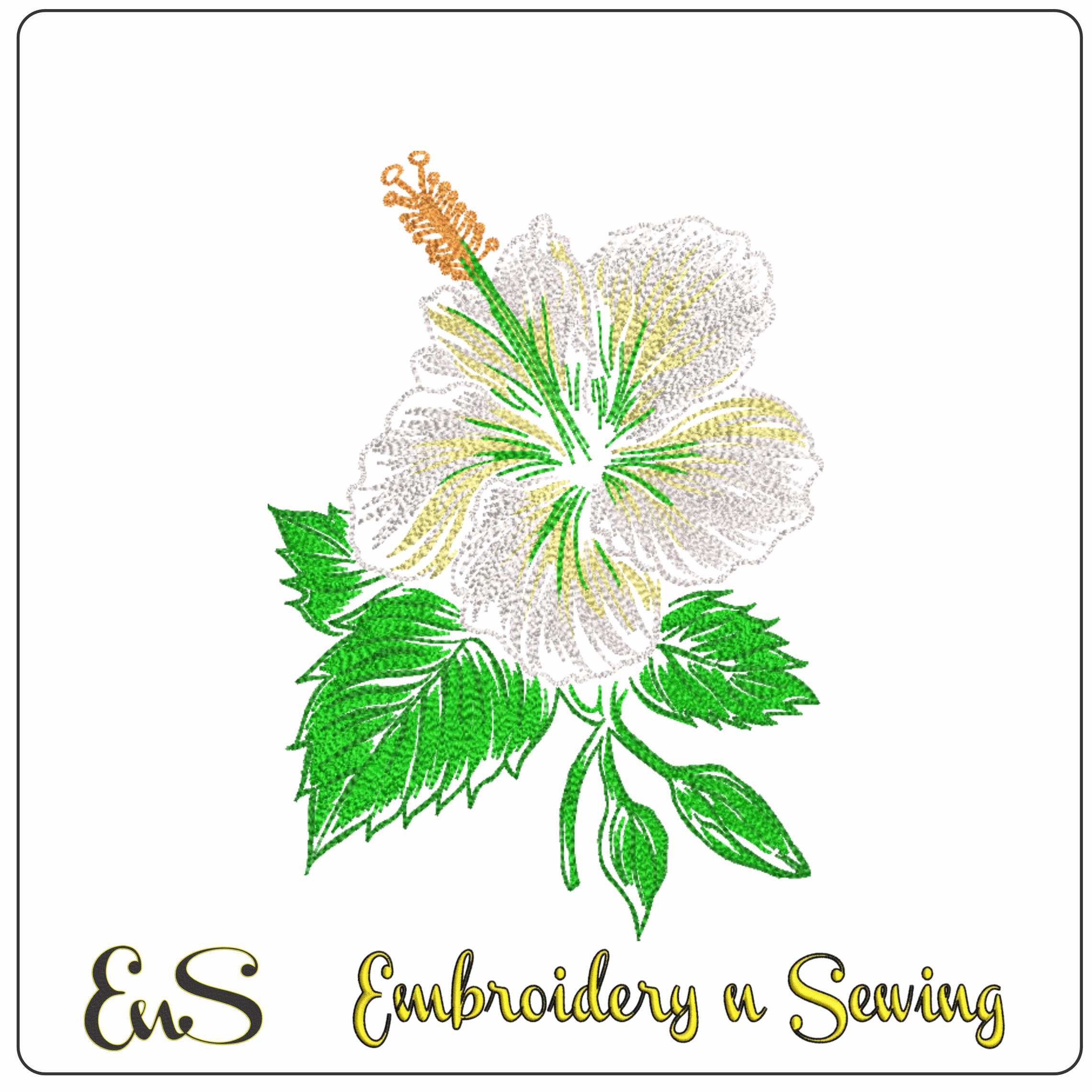 White Hibiscus