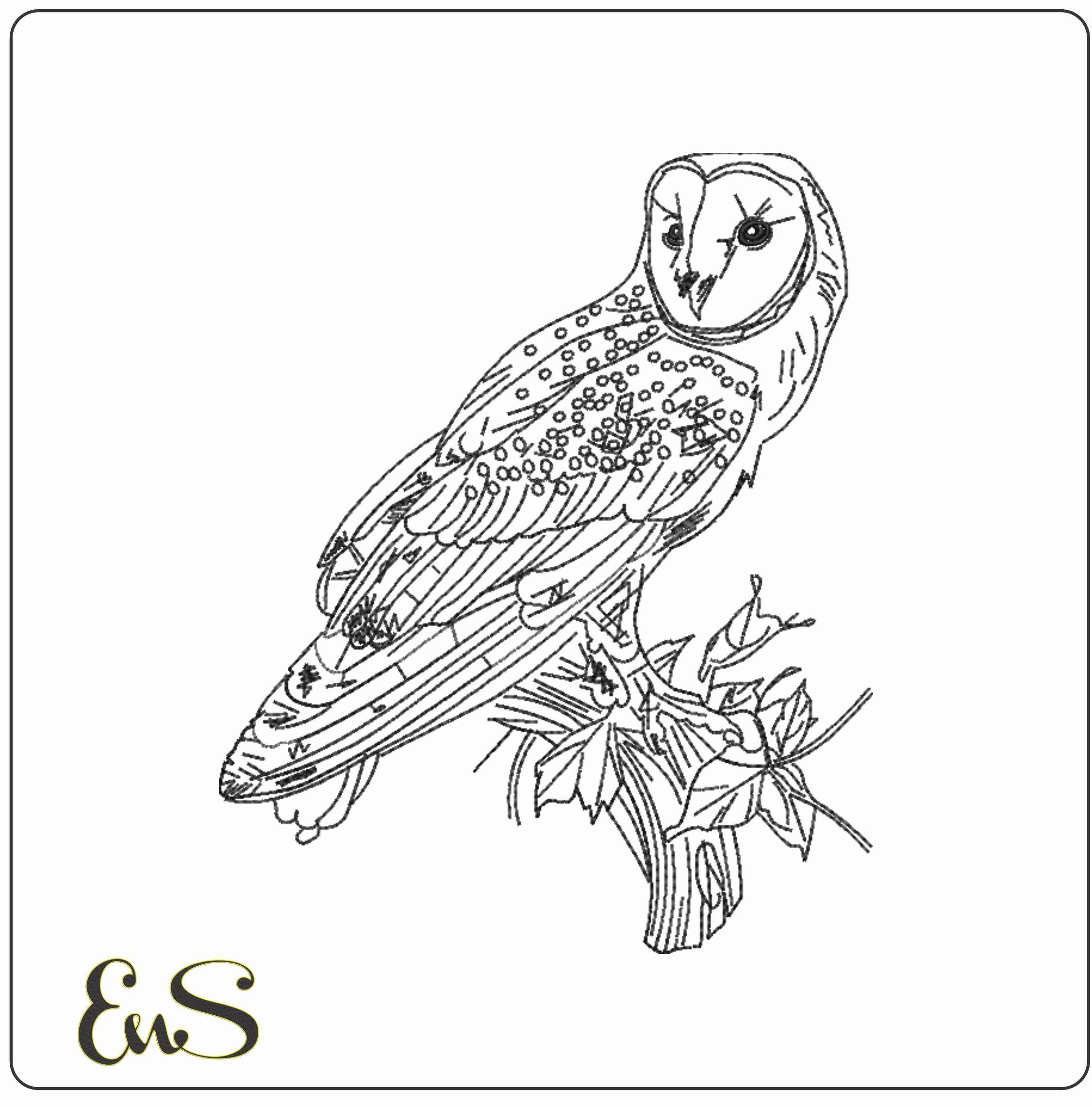 Owl Line Art