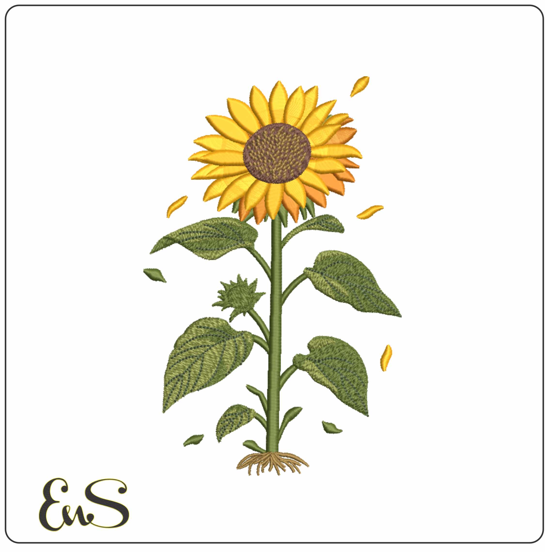 Sun Flower