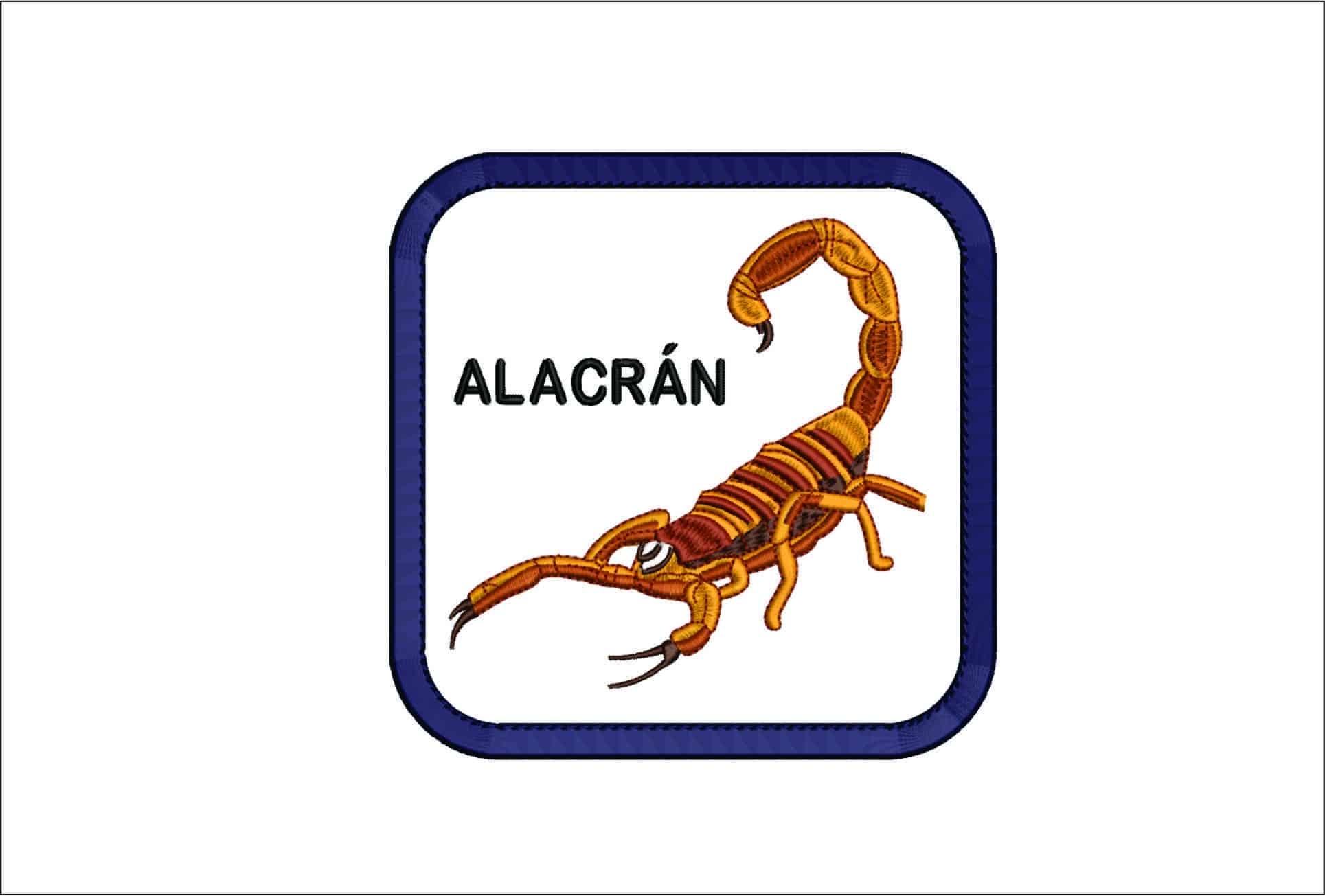 Scorpion Frame-Elegant embroidery design file - instant download